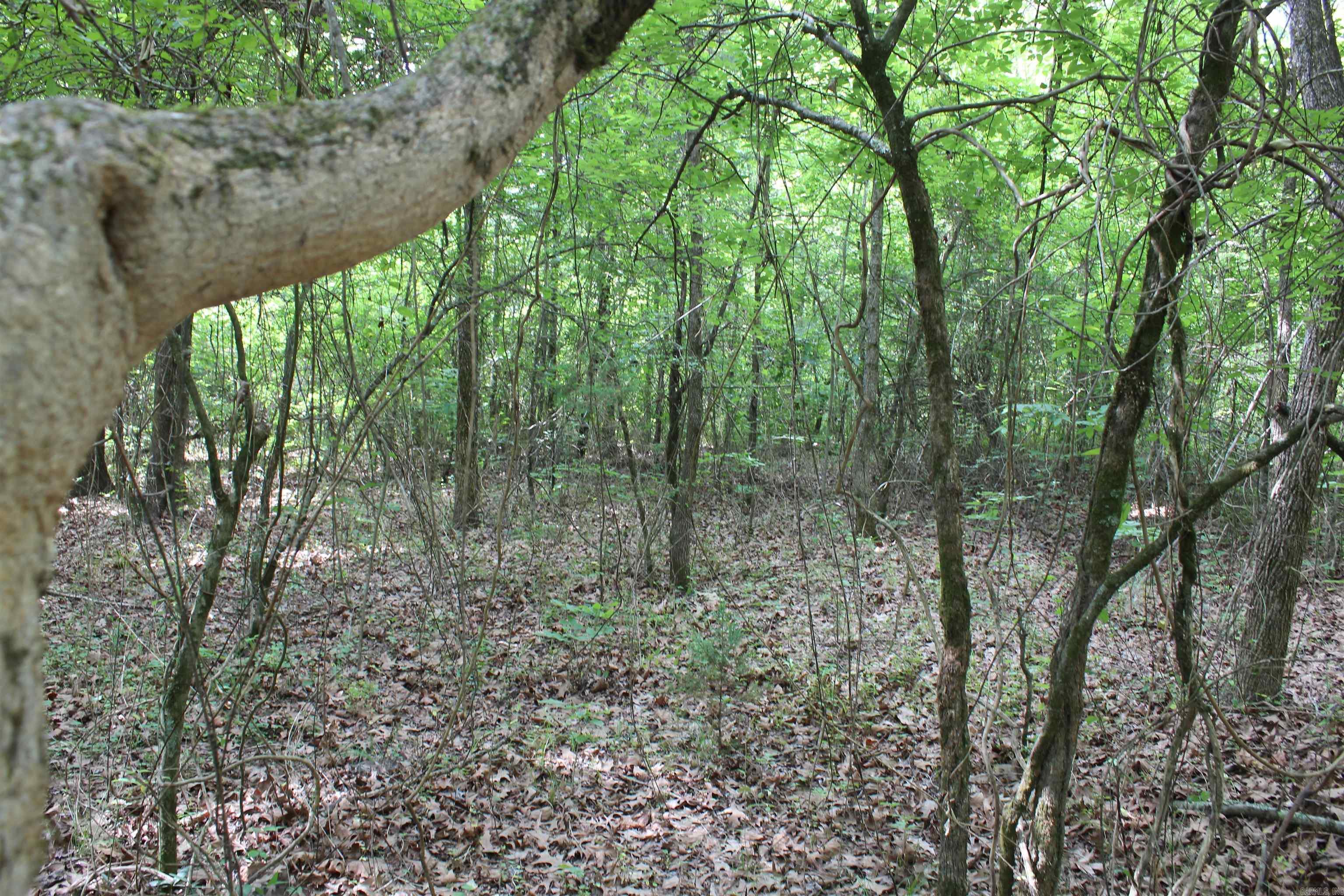000 426  Dardanelle, AR