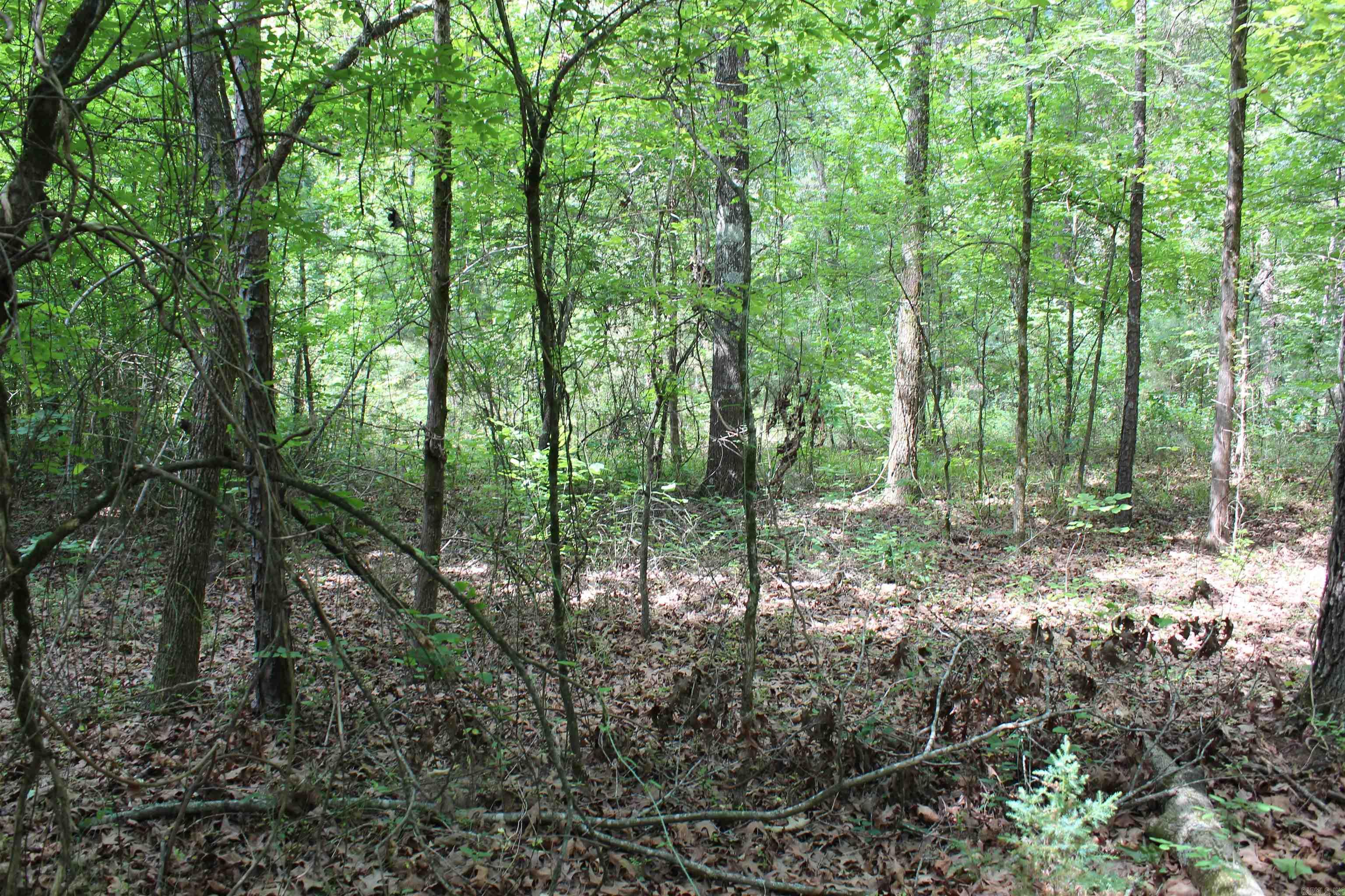 000 426  Dardanelle, AR