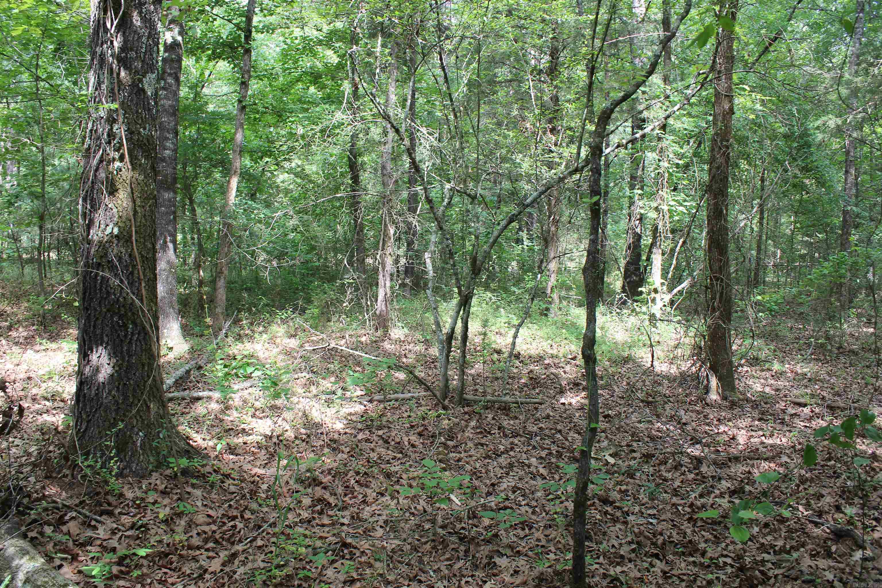 000 426  Dardanelle, AR