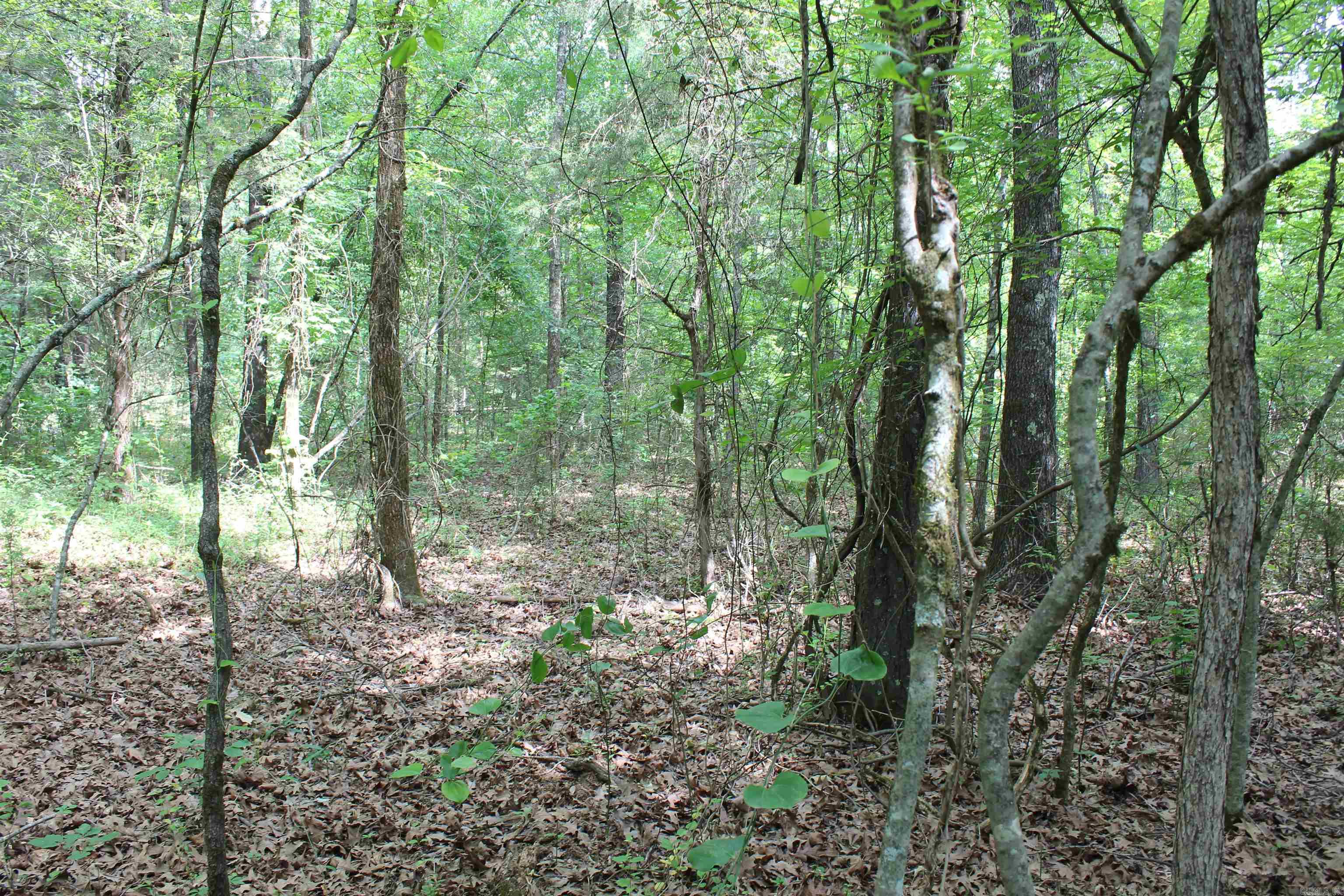 000 426  Dardanelle, AR