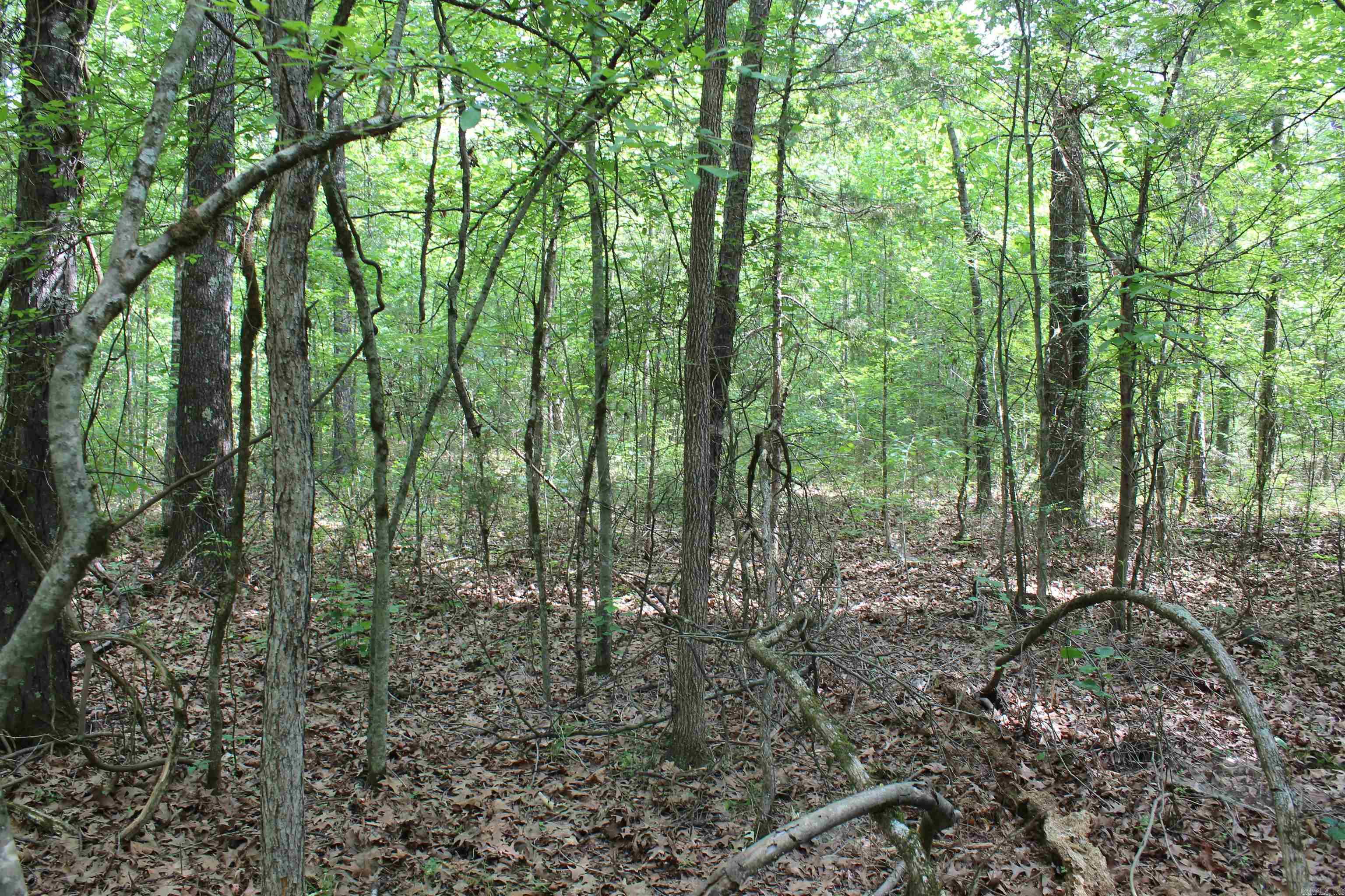 000 426  Dardanelle, AR