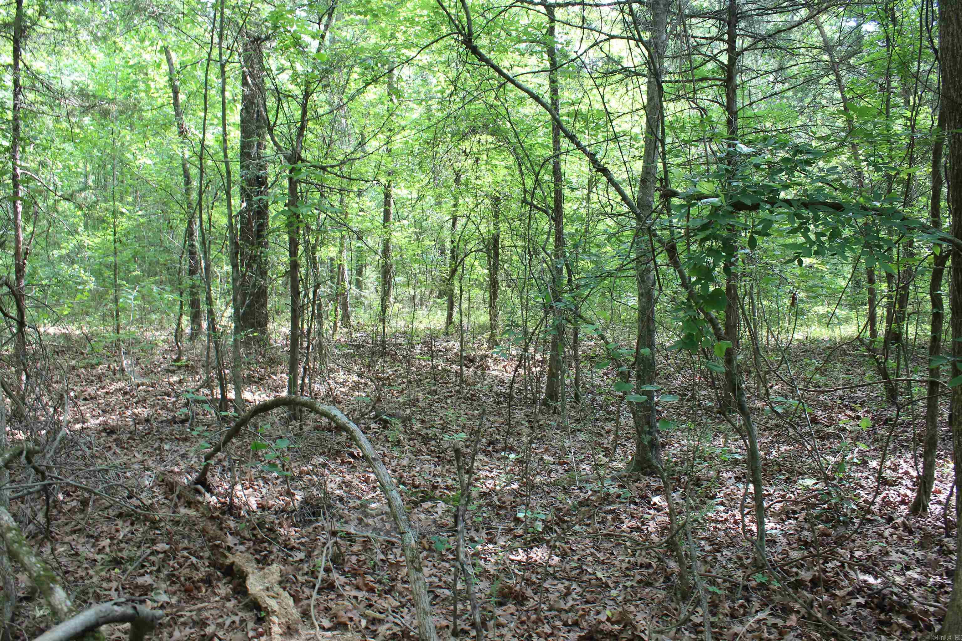 000 426  Dardanelle, AR