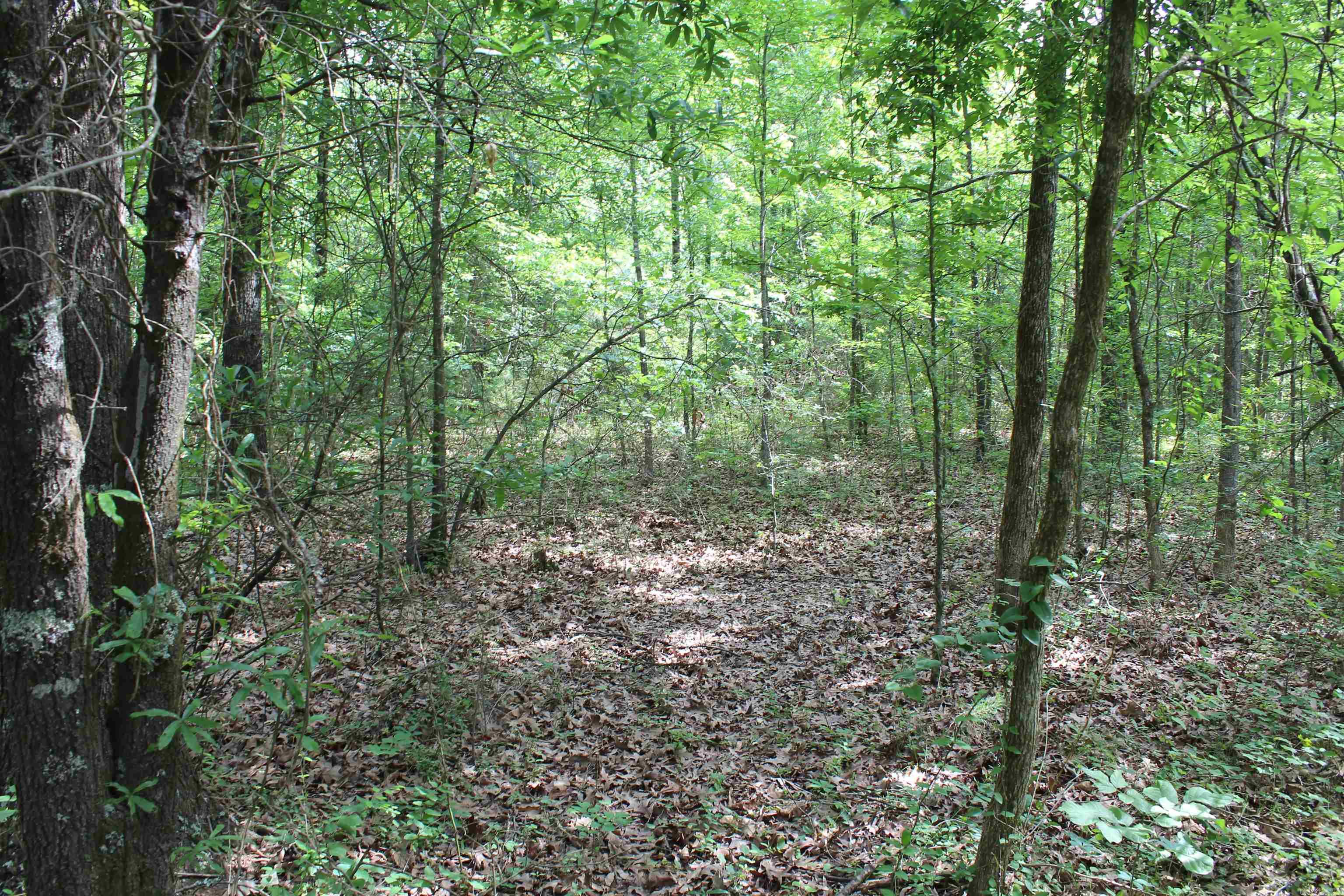 000 426  Dardanelle, AR