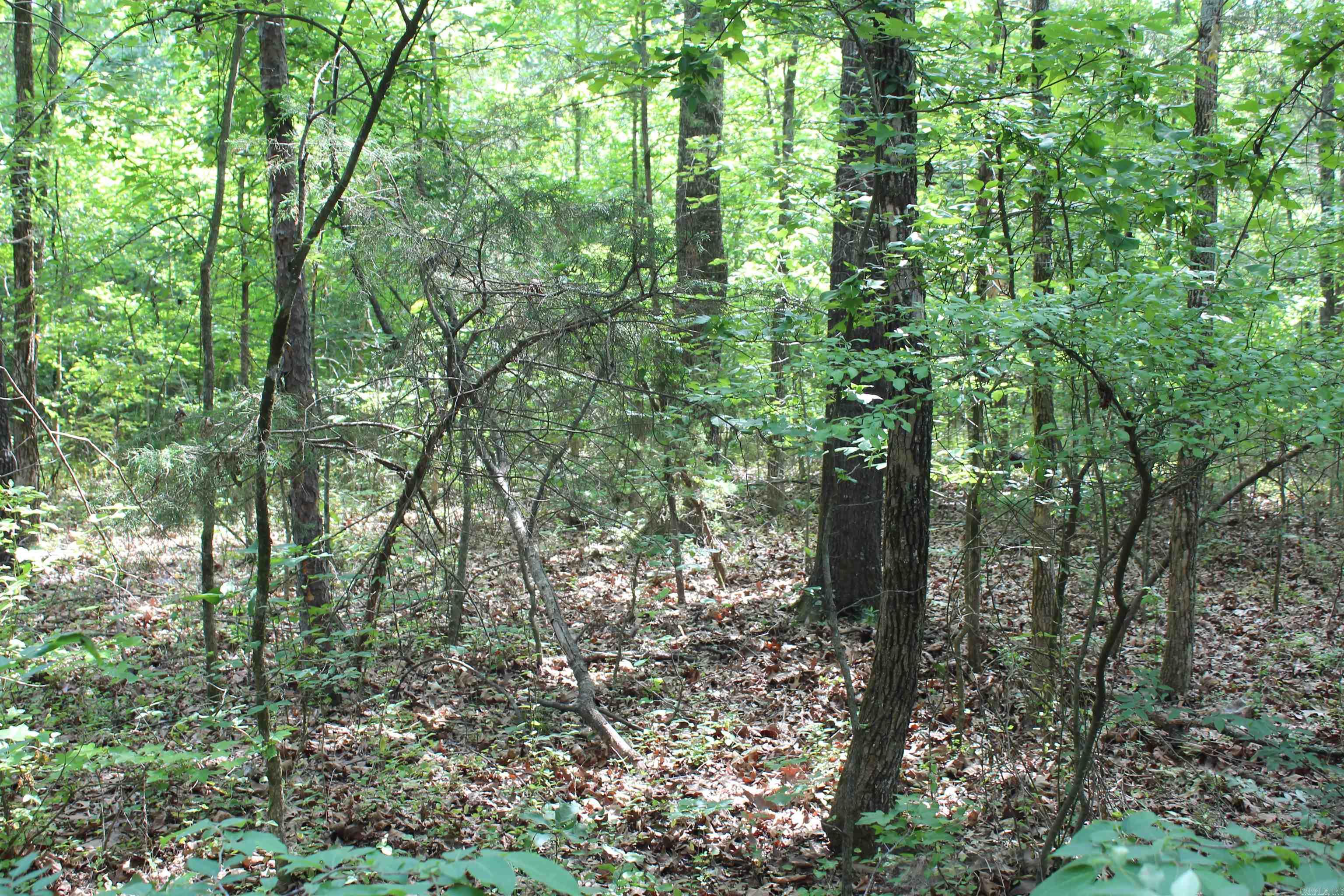 000 426  Dardanelle, AR