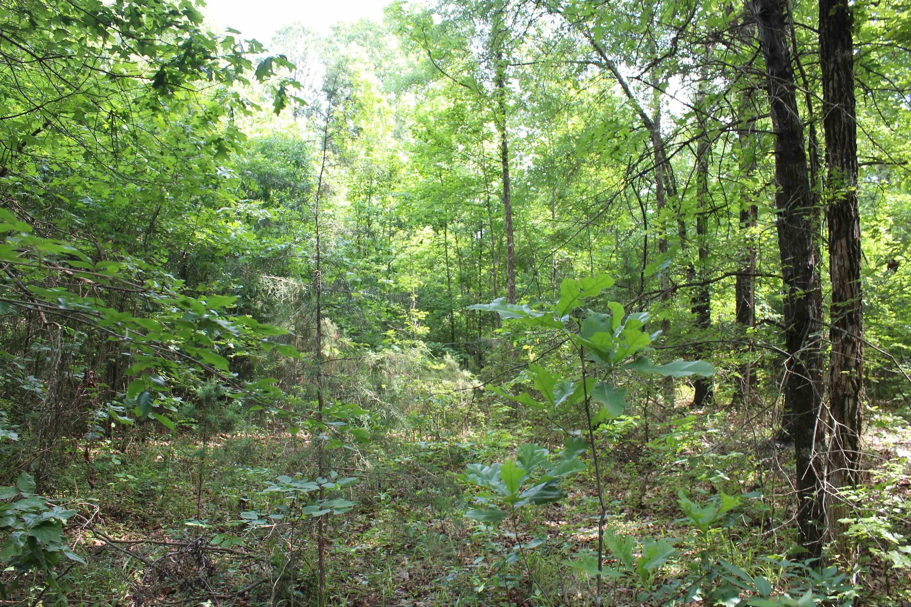 000 426  Dardanelle, AR