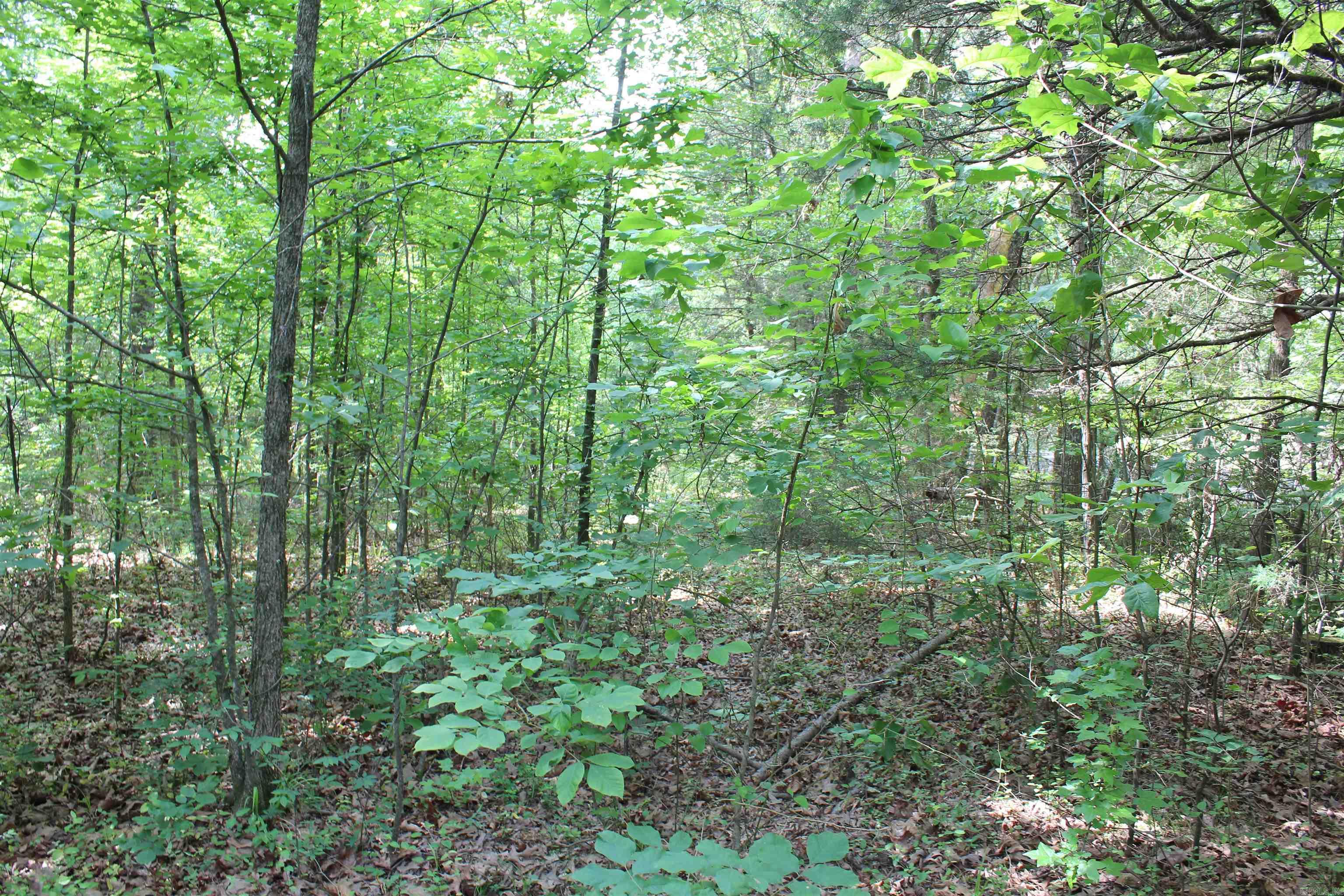 000 426  Dardanelle, AR