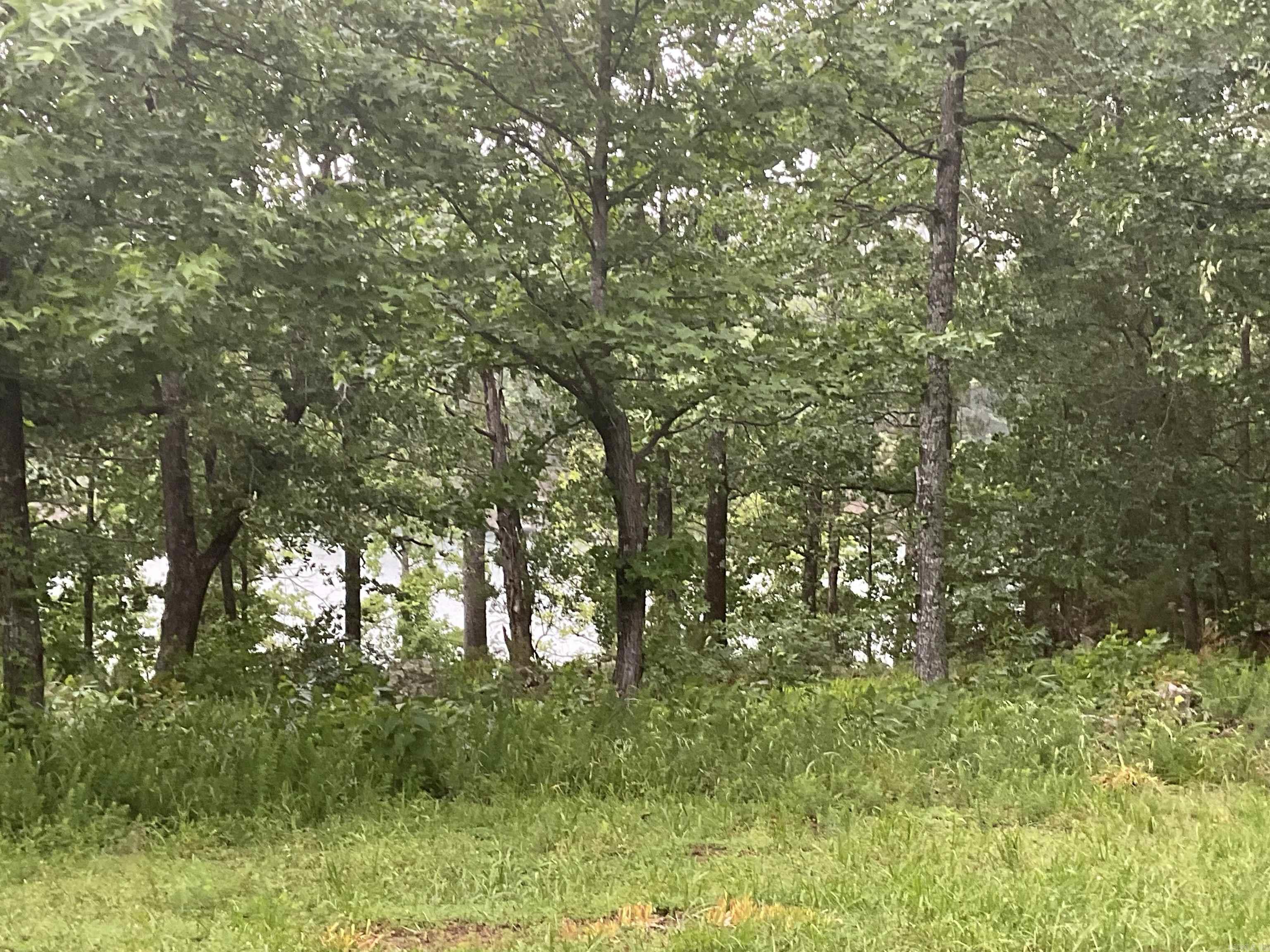 74 Circle Acres  Edgemont, AR