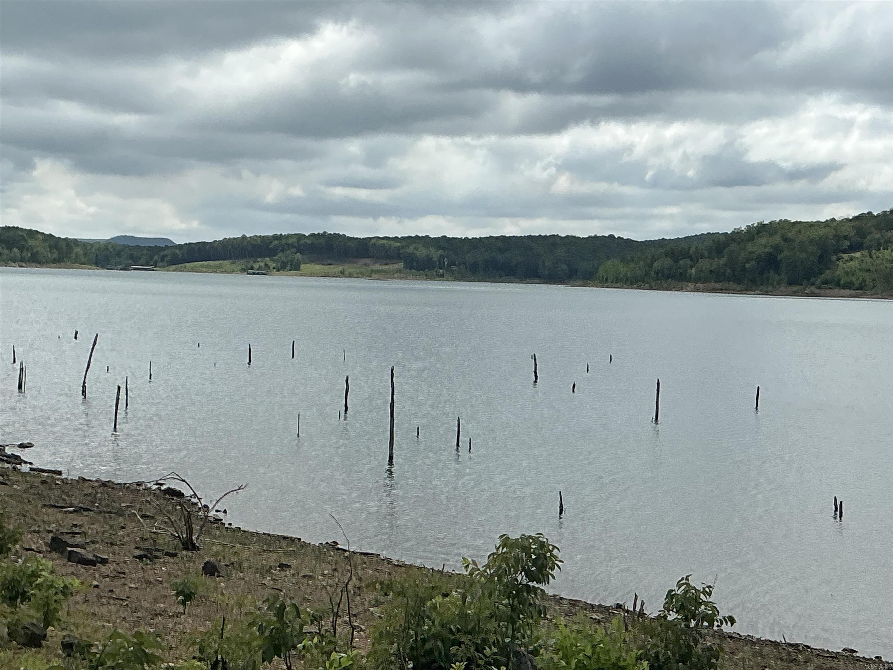 74 Circle Acres  Edgemont, AR