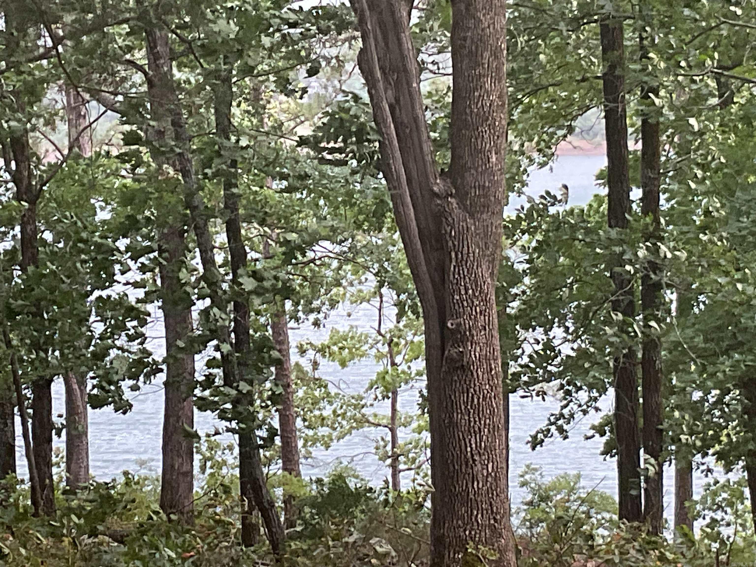 74 Circle Acres  Edgemont, AR