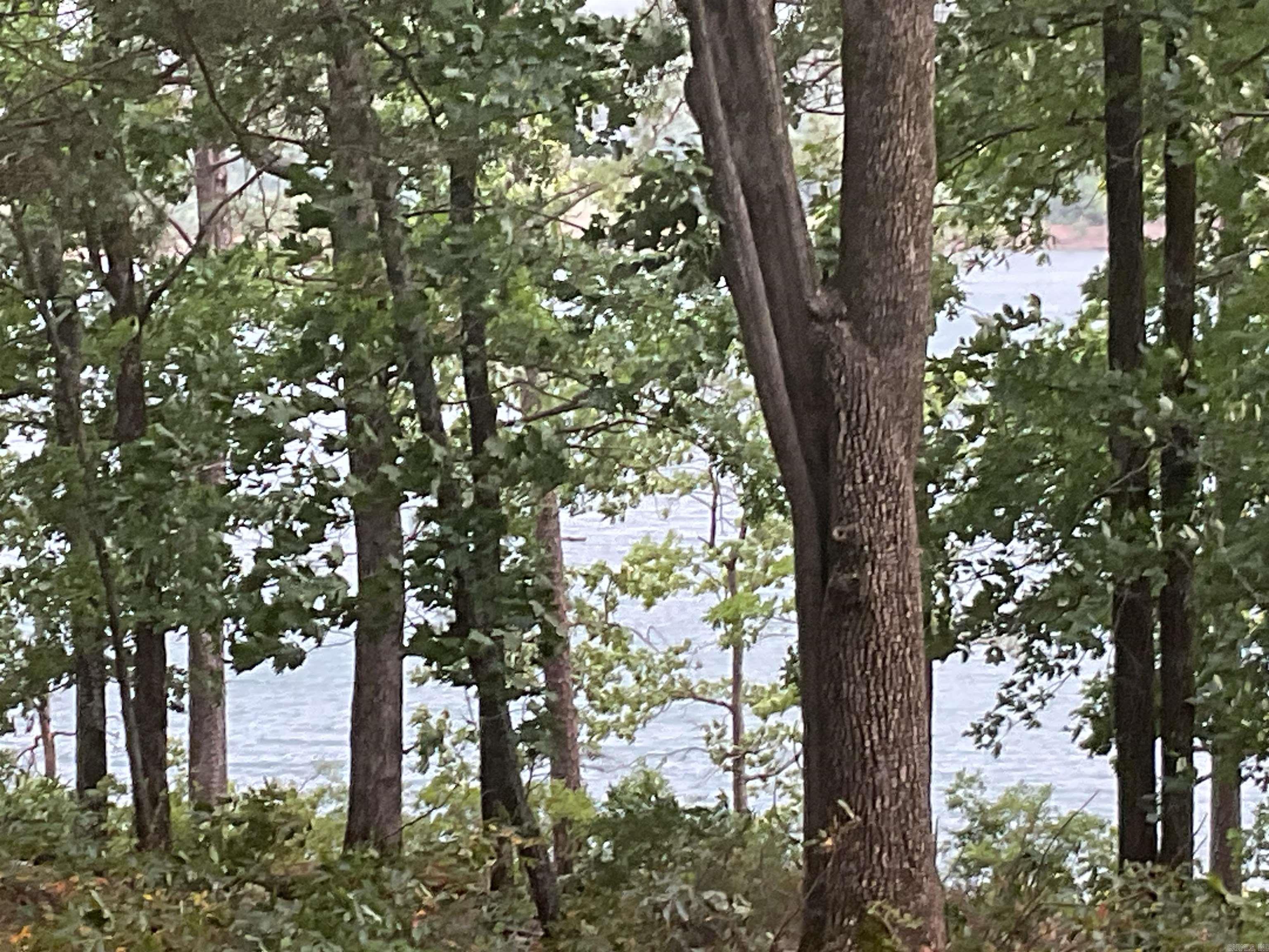74 Circle Acres  Edgemont, AR