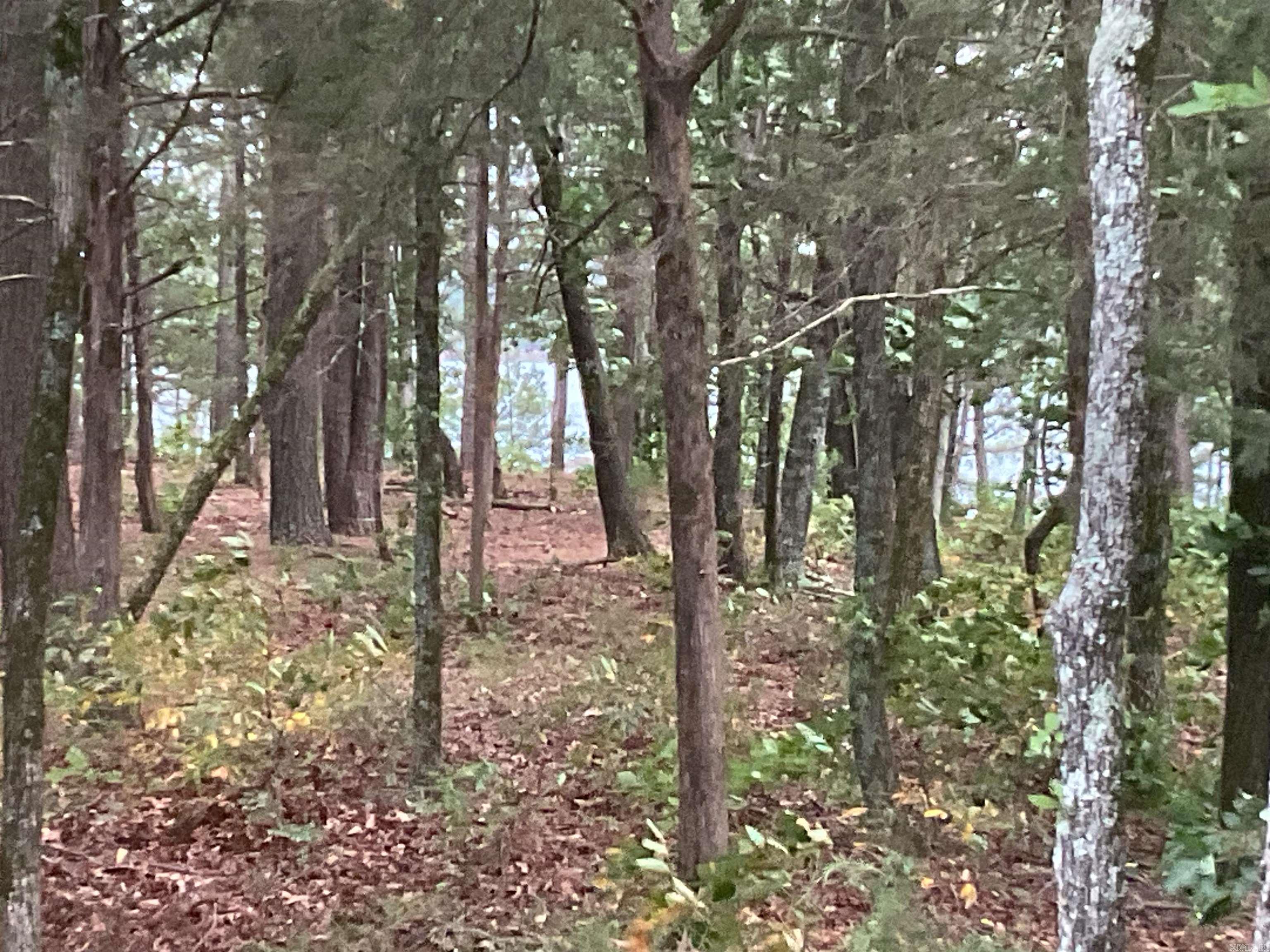 74 Circle Acres  Edgemont, AR