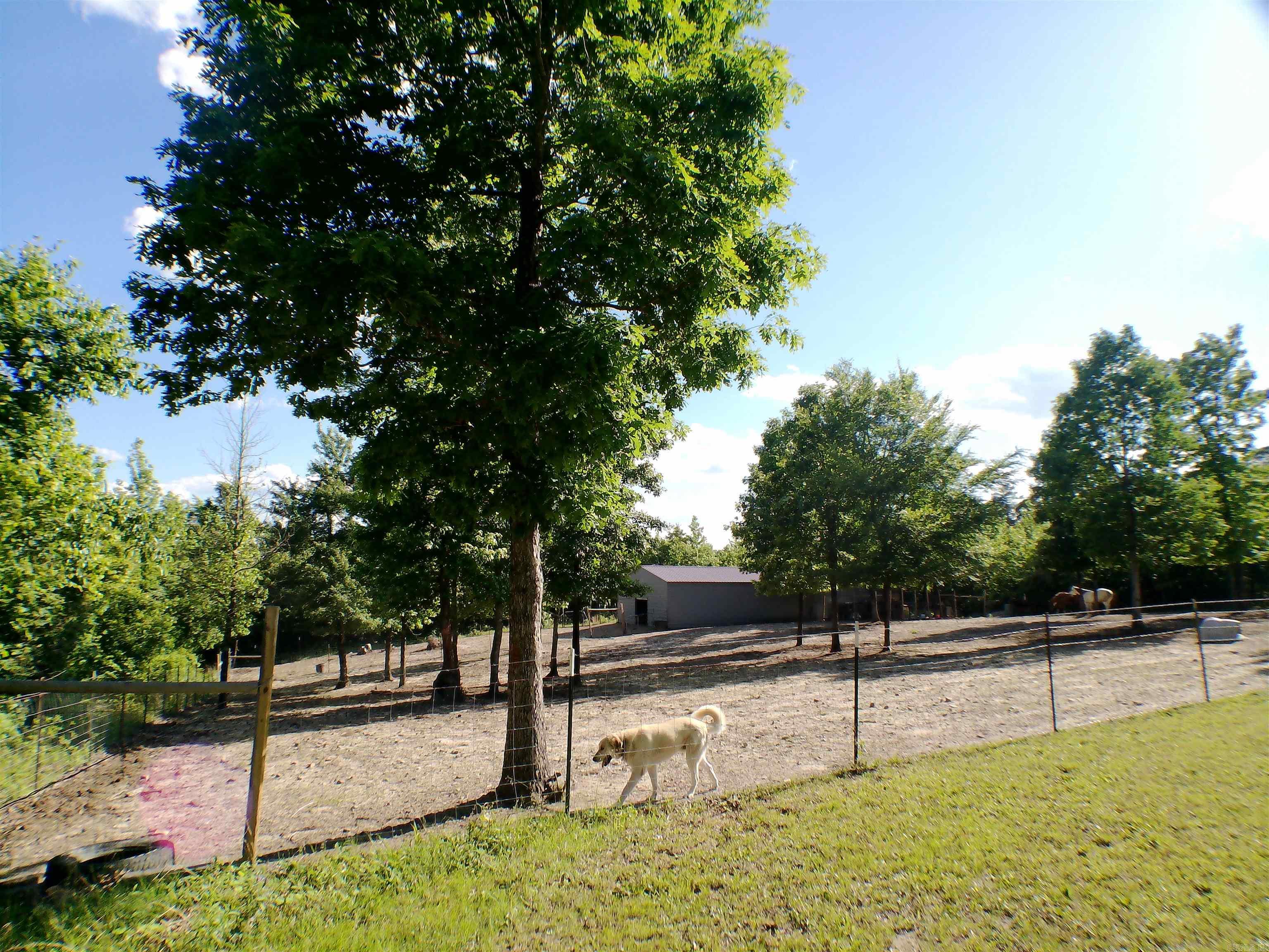 1417 Skyline Dr  Amity, AR