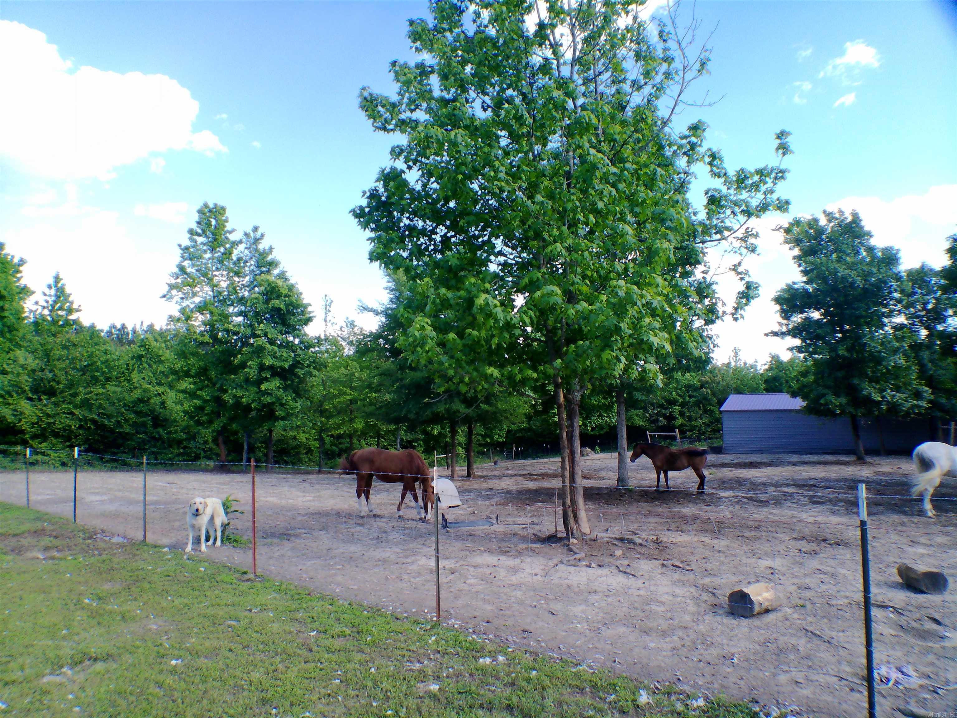 1417 Skyline Dr  Amity, AR