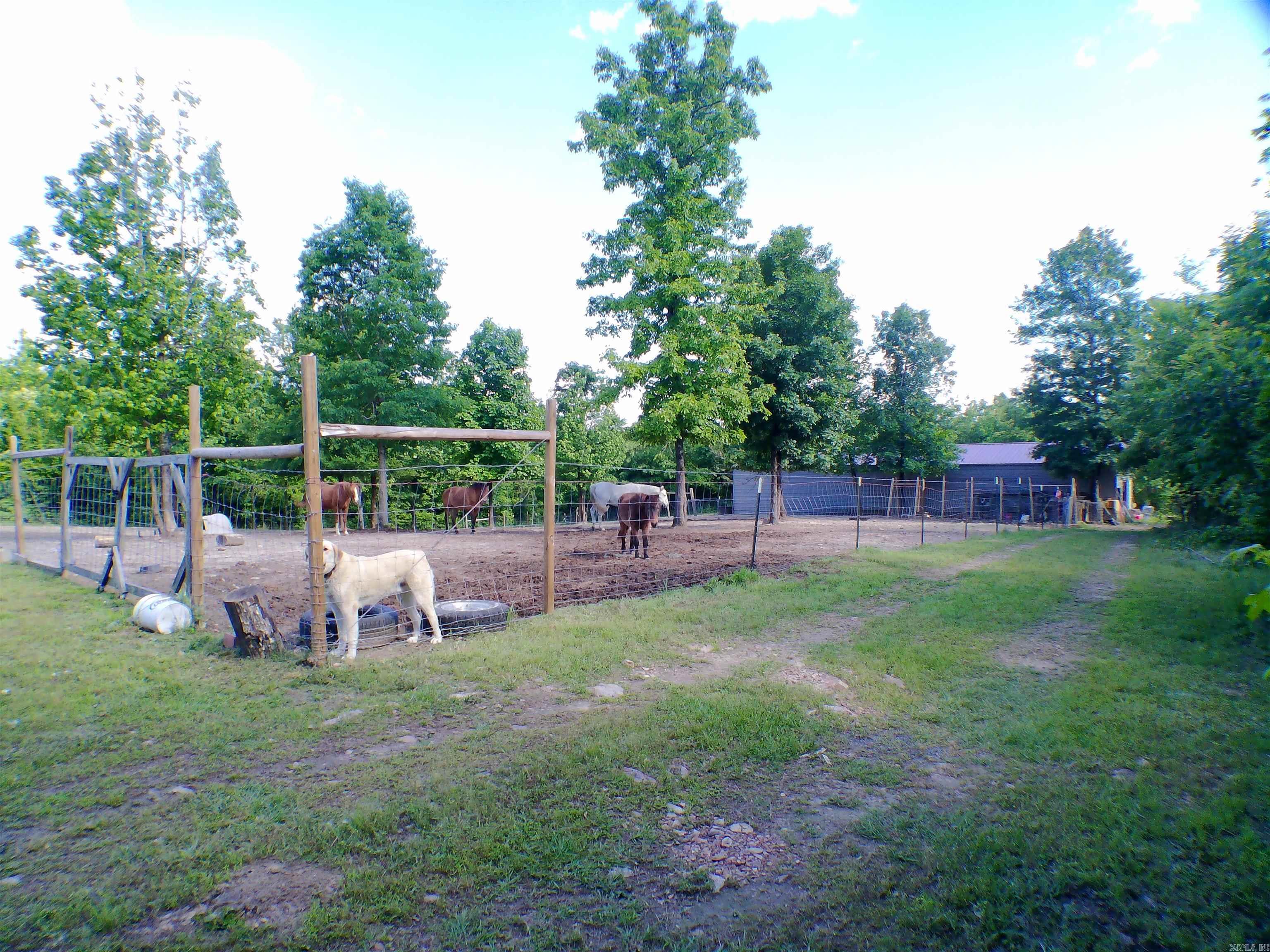 1417 Skyline Dr  Amity, AR