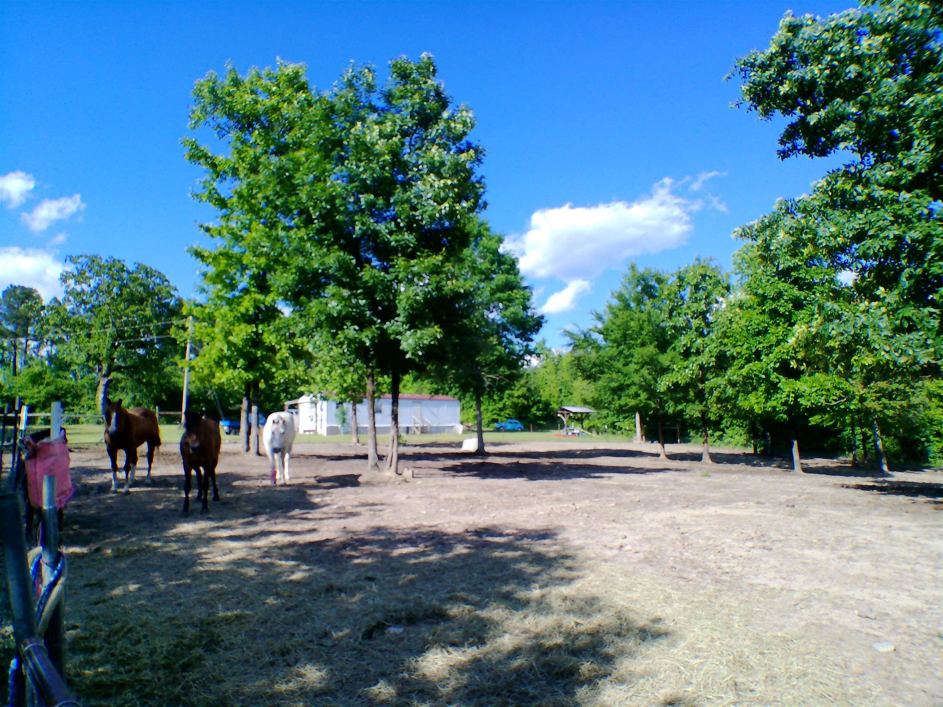 1417 Skyline Dr  Amity, AR