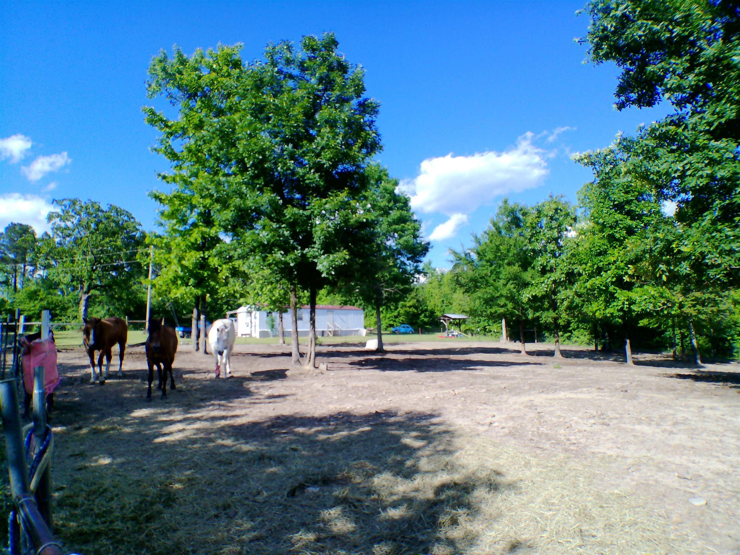 1417 Skyline Dr  Amity, AR