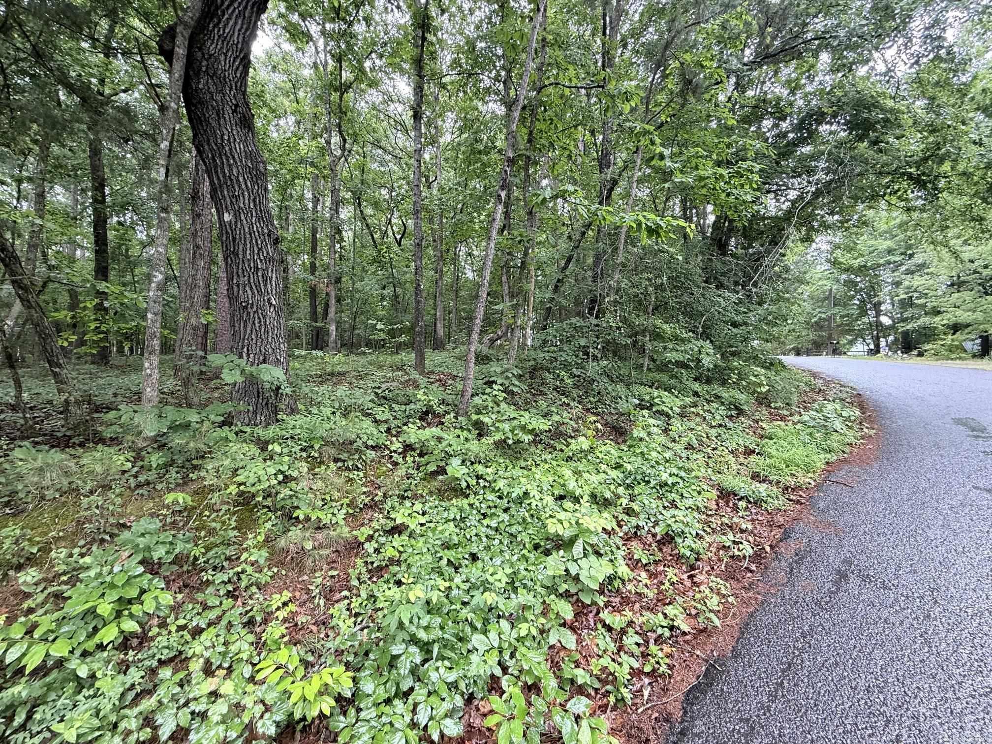 00 Davidson Cir.  Greers Ferry, AR