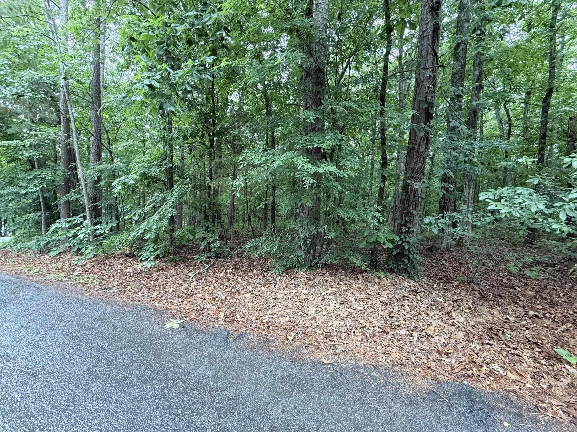 00 Davidson Cir.  Greers Ferry, AR