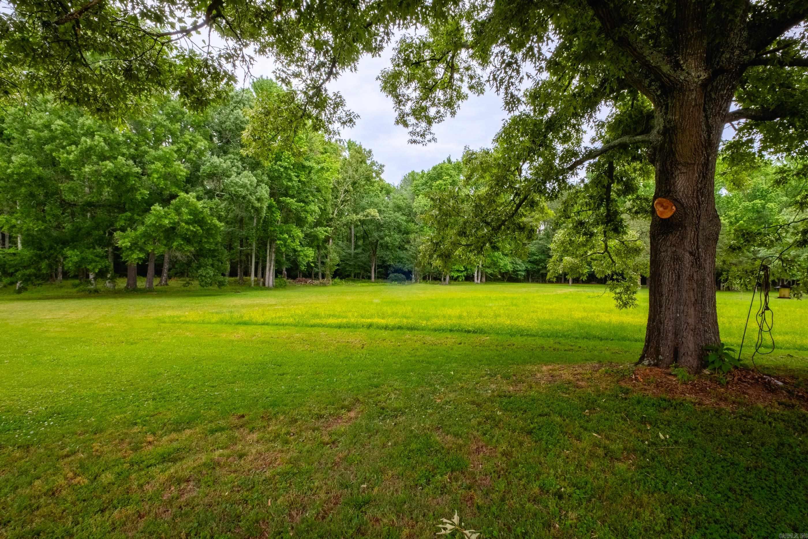 17 Mckenzie Trail  Conway, AR