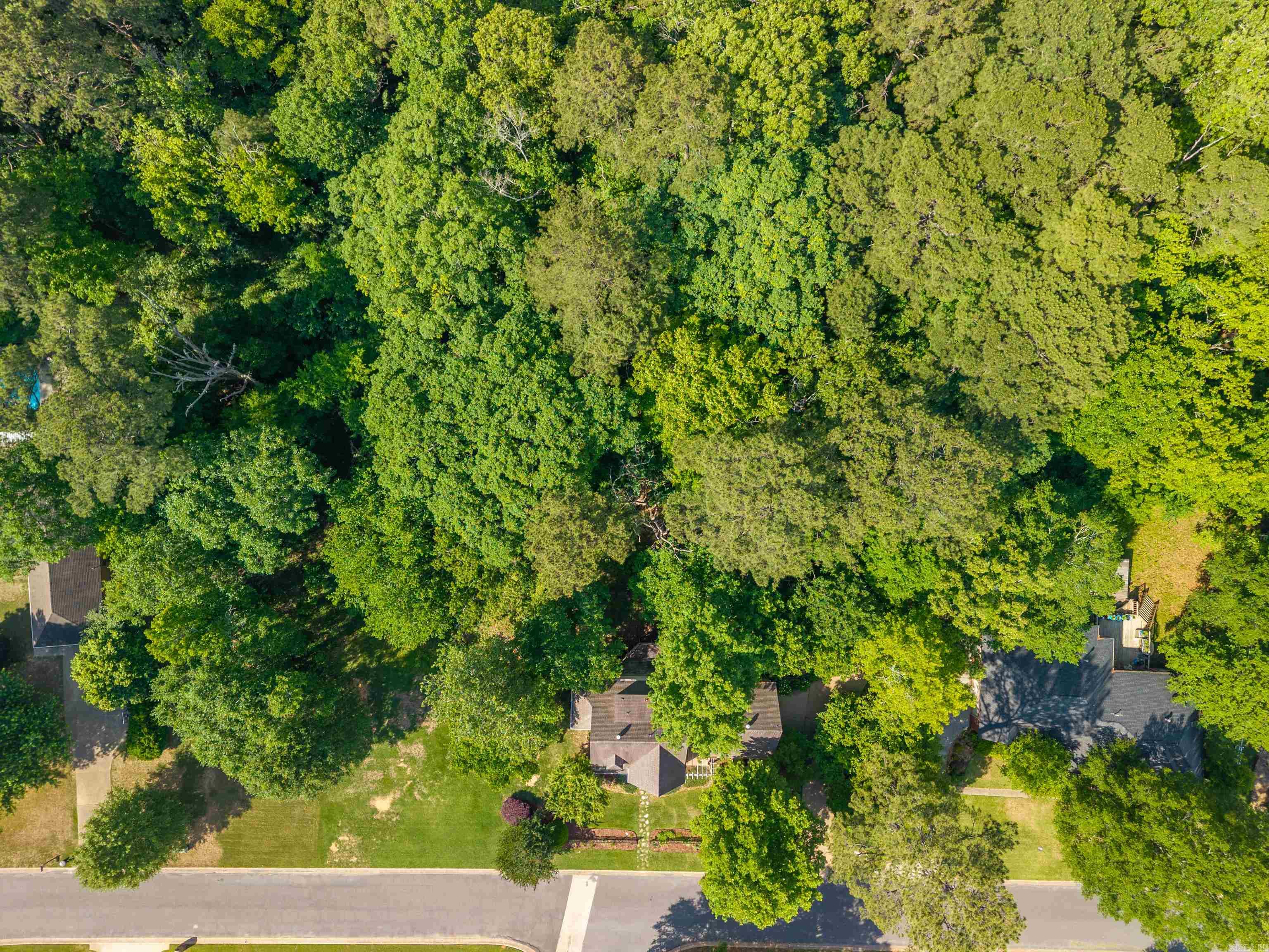 7 Timber Ridge  Arkadelphia, AR