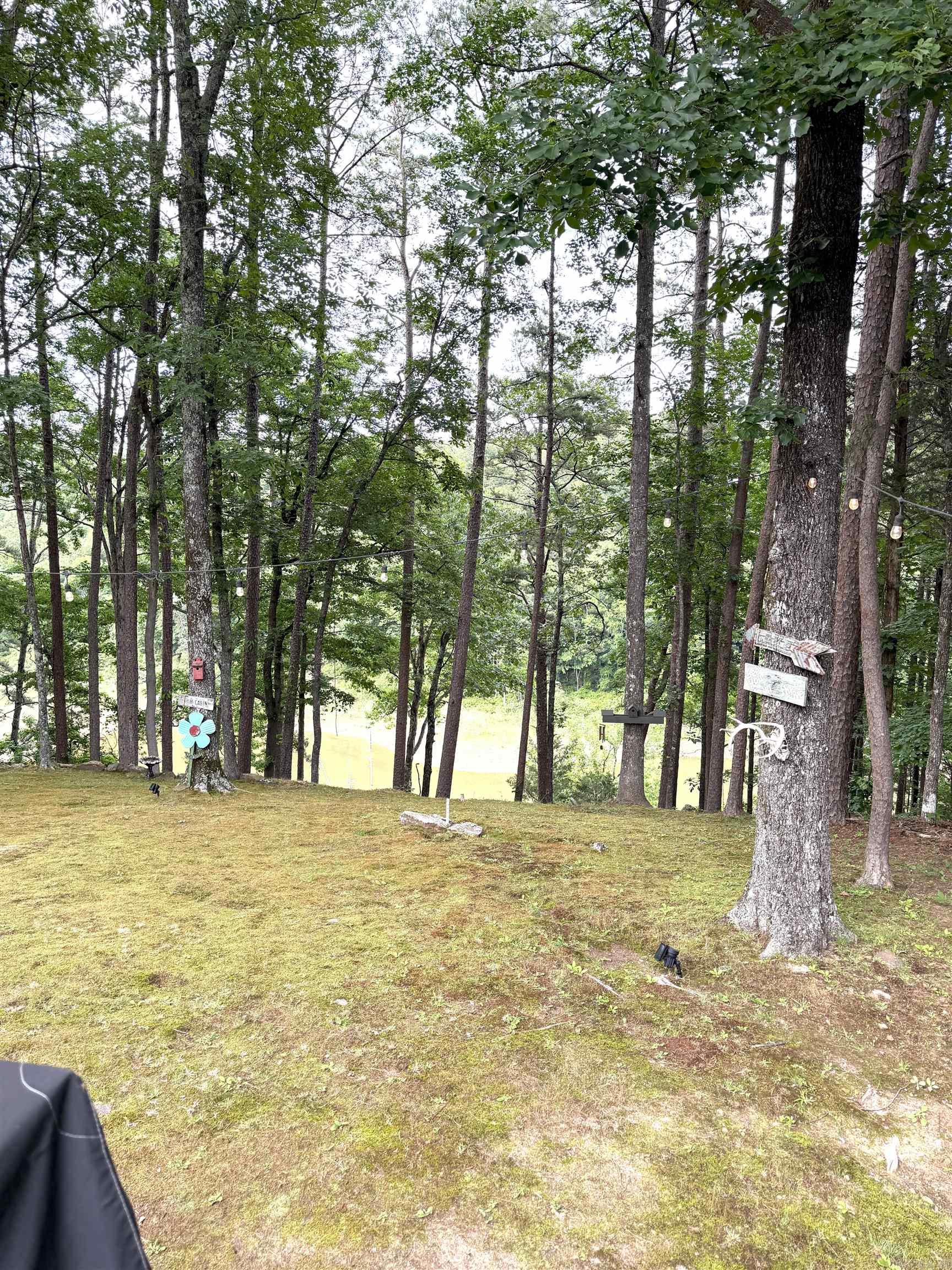 119 Meadowcliff  Fairfield Bay, AR
