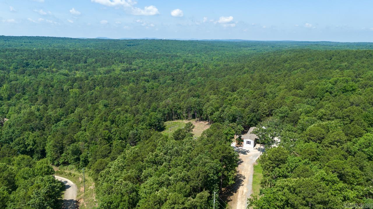 40220 Reece Creek Rd Bigelow, AR 72016