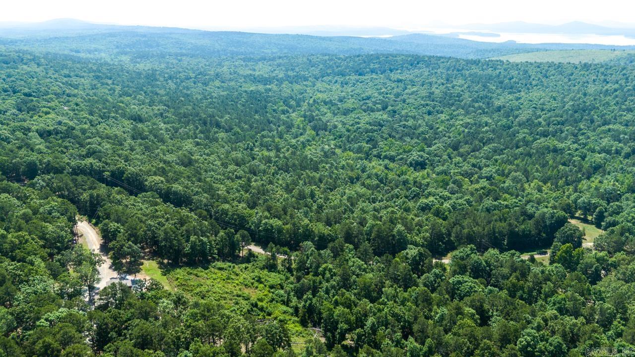 40220 Reece Creek Rd Bigelow, AR 72016