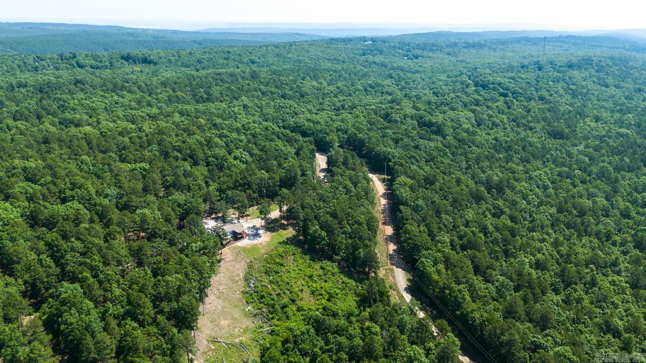 40220 Reece Creek Rd Bigelow, AR 72016