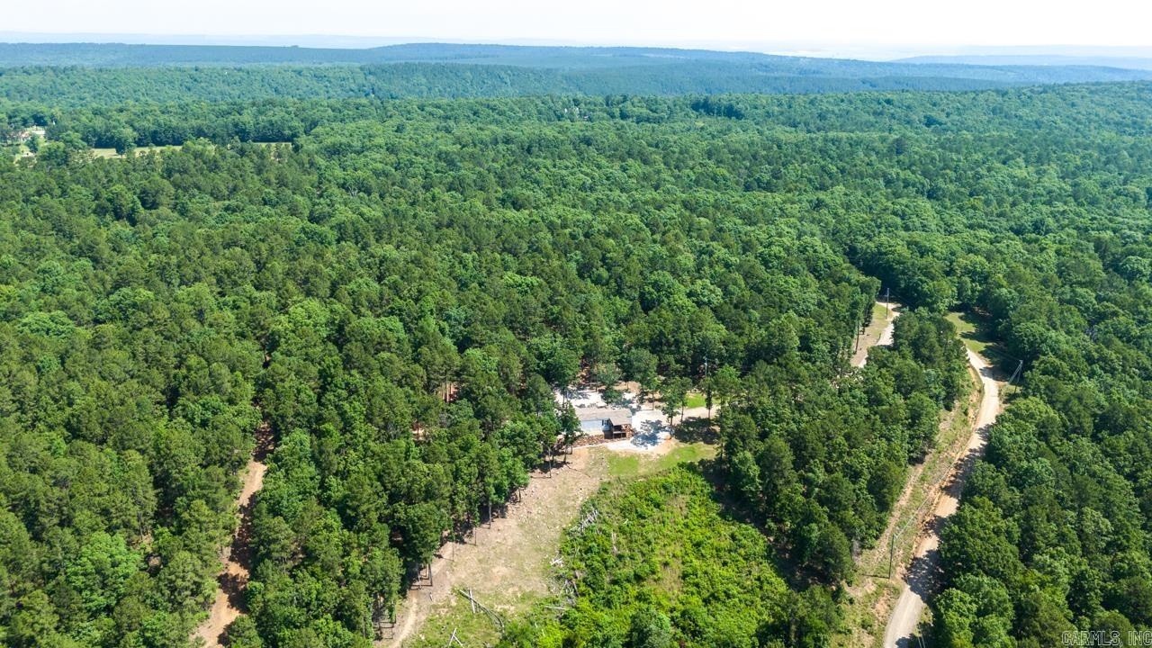 40220 Reece Creek Rd Bigelow, AR 72016