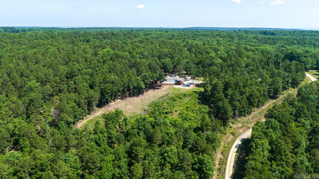 40220 Reece Creek Rd Bigelow, AR 72016