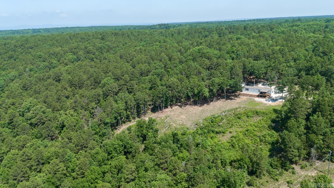 40220 Reece Creek Rd Bigelow, AR 72016