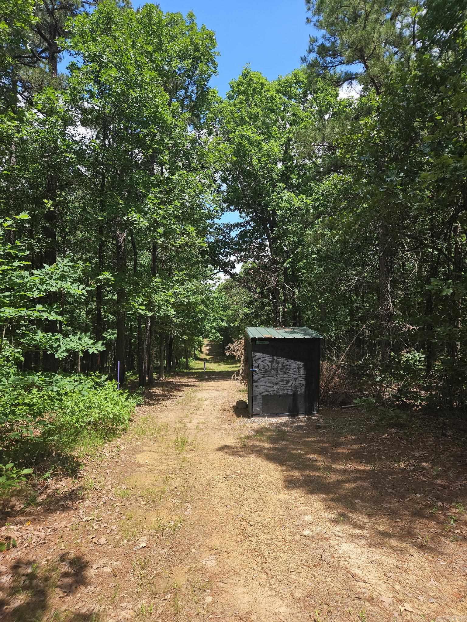 40220 Reece Creek Rd Bigelow, AR 72016