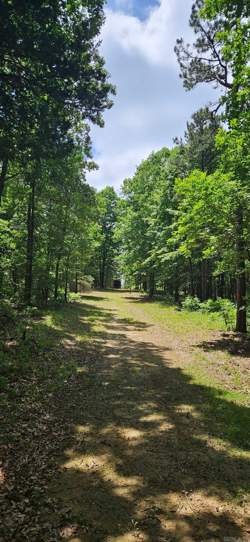 40220 Reece Creek Rd Bigelow, AR 72016