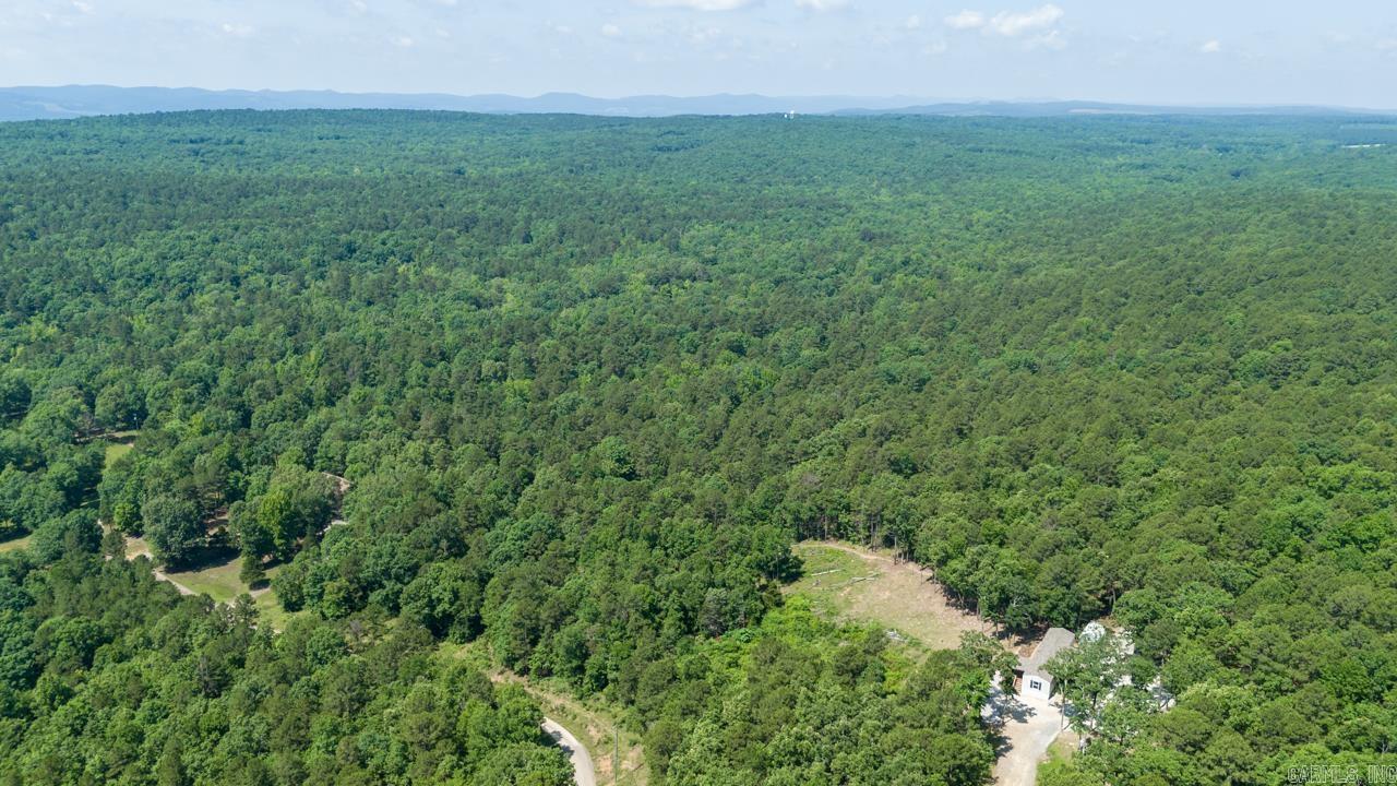 40220 Reece Creek Rd Bigelow, AR 72016