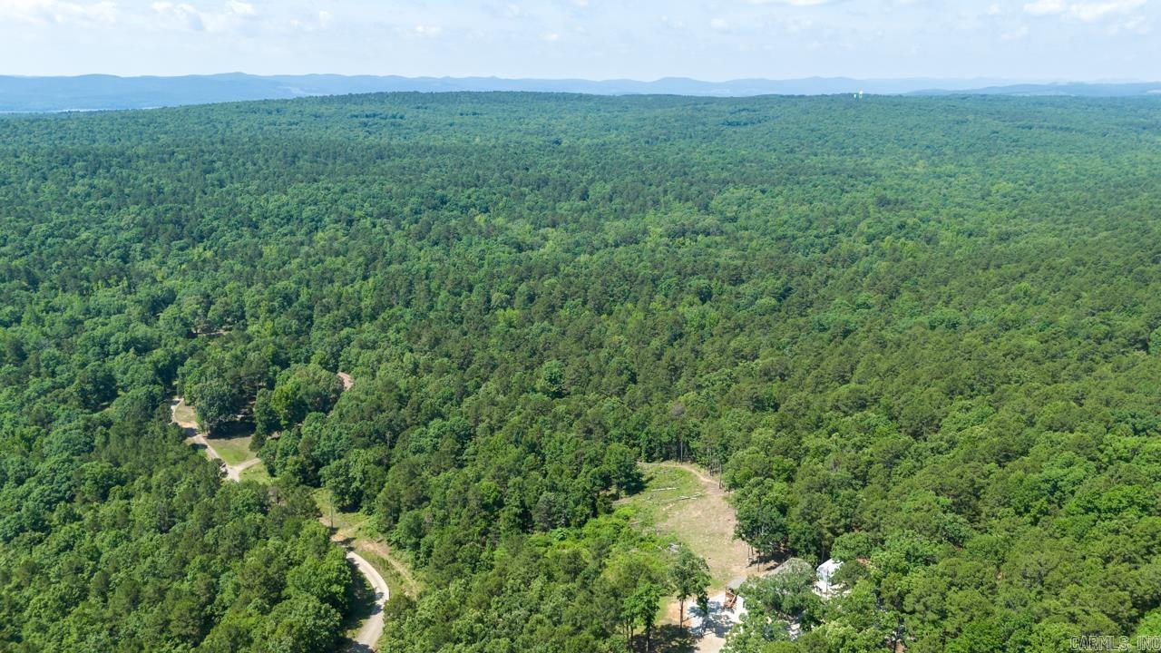 40220 Reece Creek Rd Bigelow, AR 72016