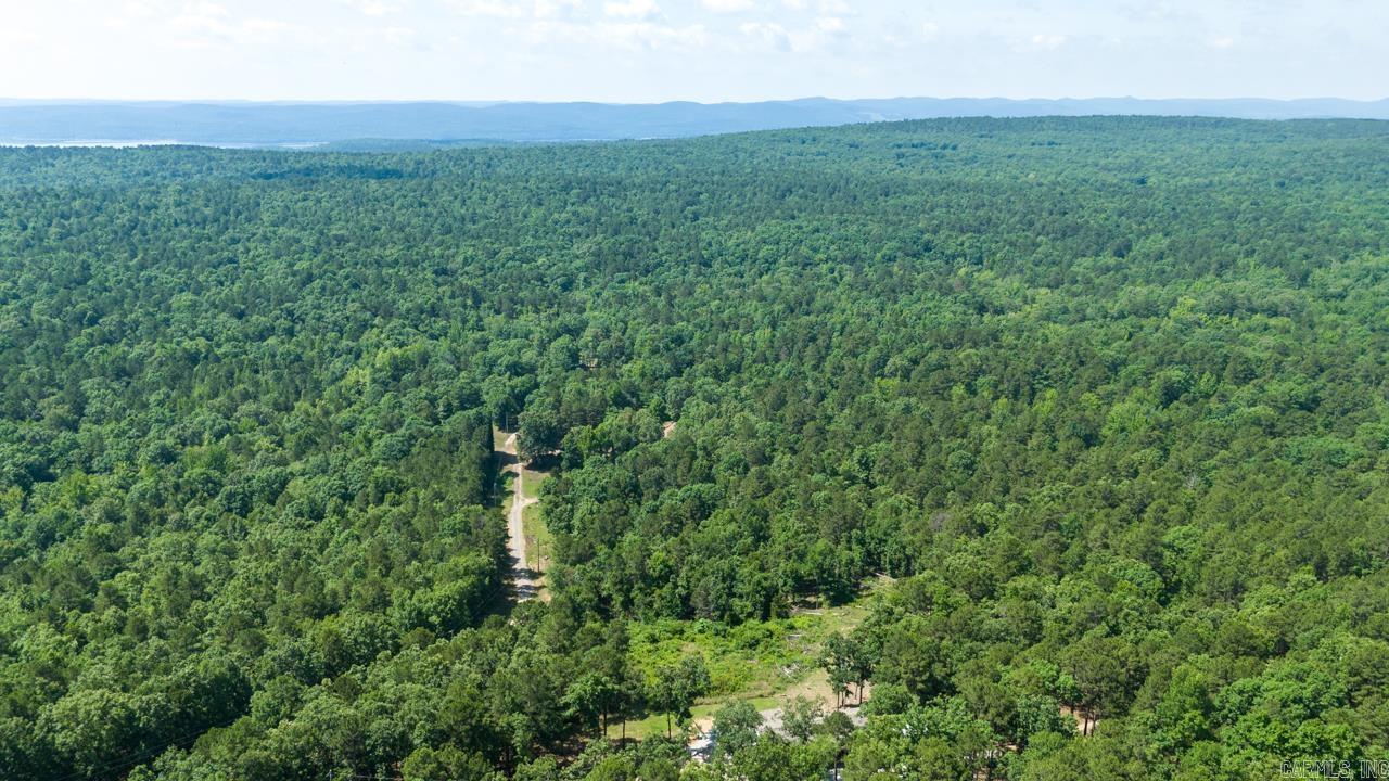 40220 Reece Creek Rd Bigelow, AR 72016