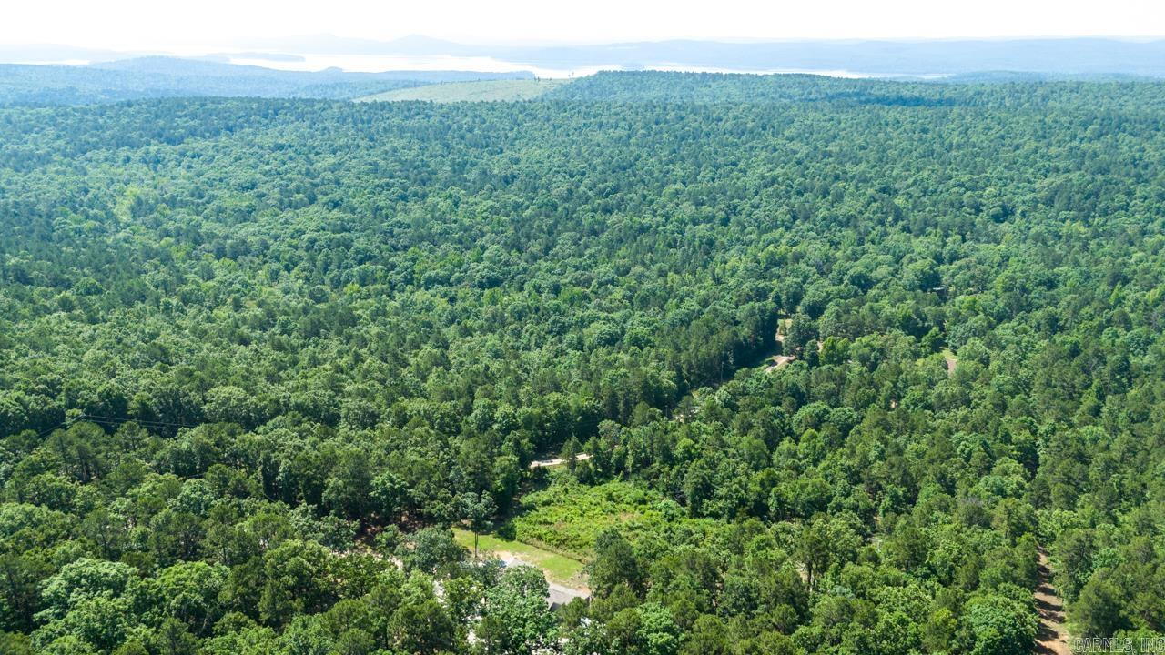 40220 Reece Creek Rd Bigelow, AR 72016