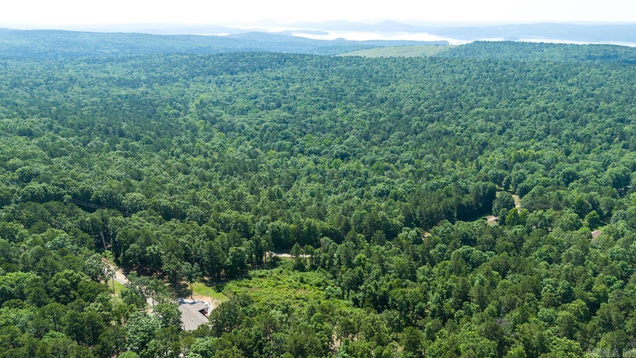 40220 Reece Creek Rd Bigelow, AR 72016