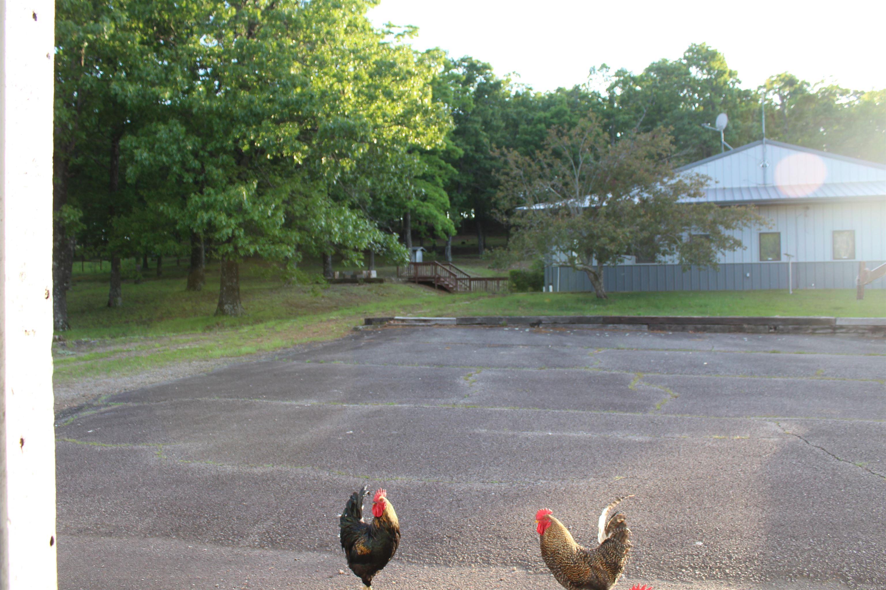 158 Ragon  Tilly, AR