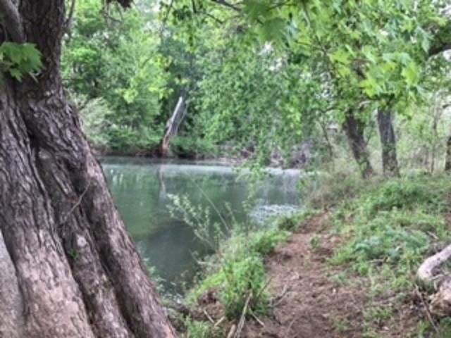 1396 Sunrise Rd  Sturkie, AR