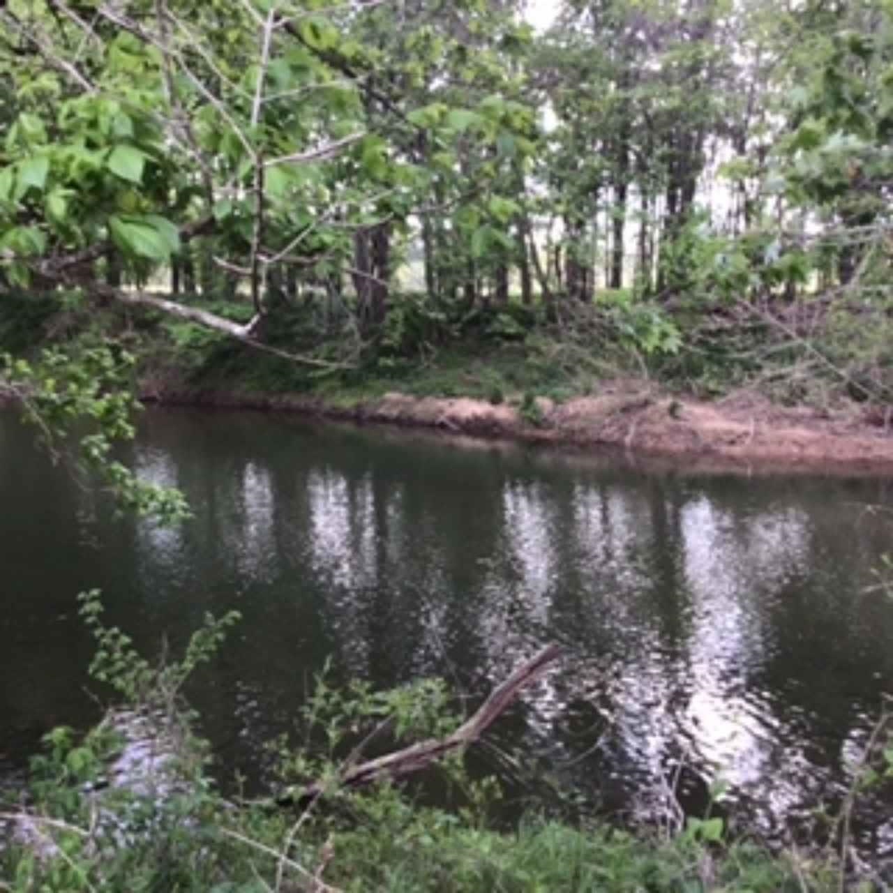1396 Sunrise Rd  Sturkie, AR