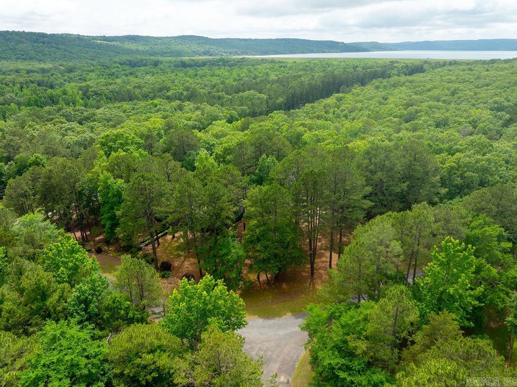 55 Crystal Court  Heber Springs, AR