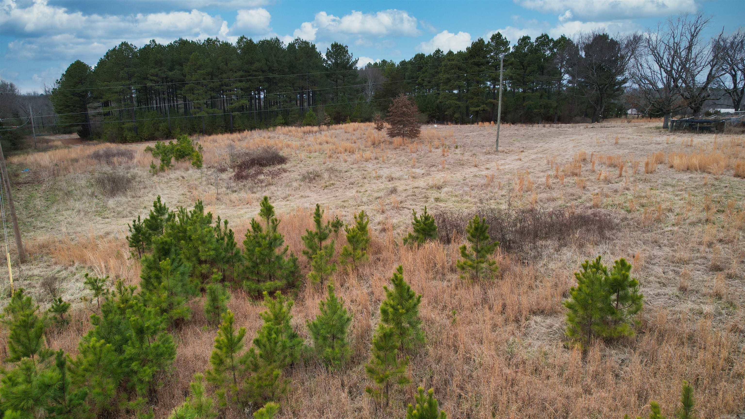 434 Pumpkin Center Lot 4 Quitman, AR