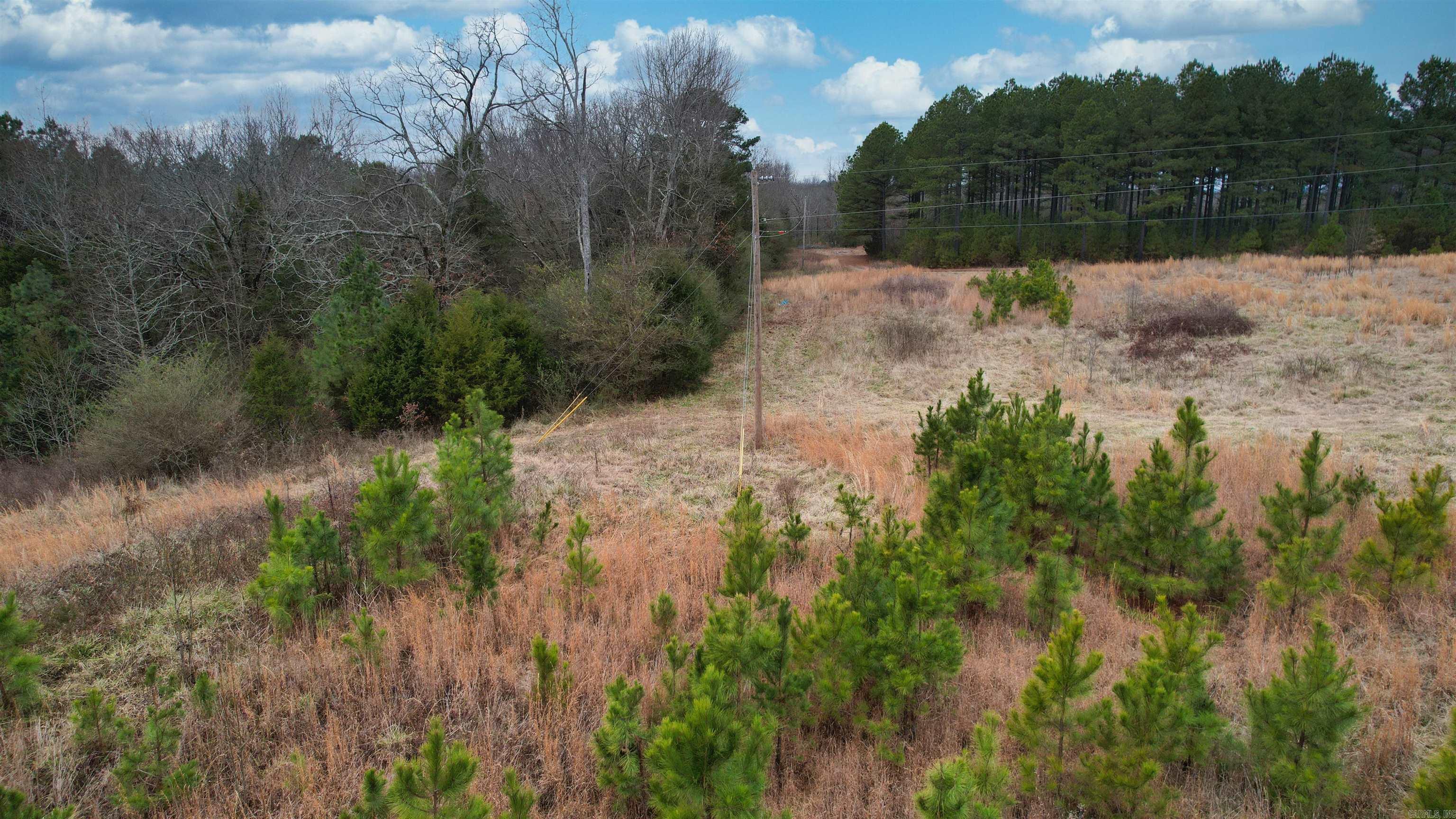 434 Pumpkin Center Lot 4 Quitman, AR