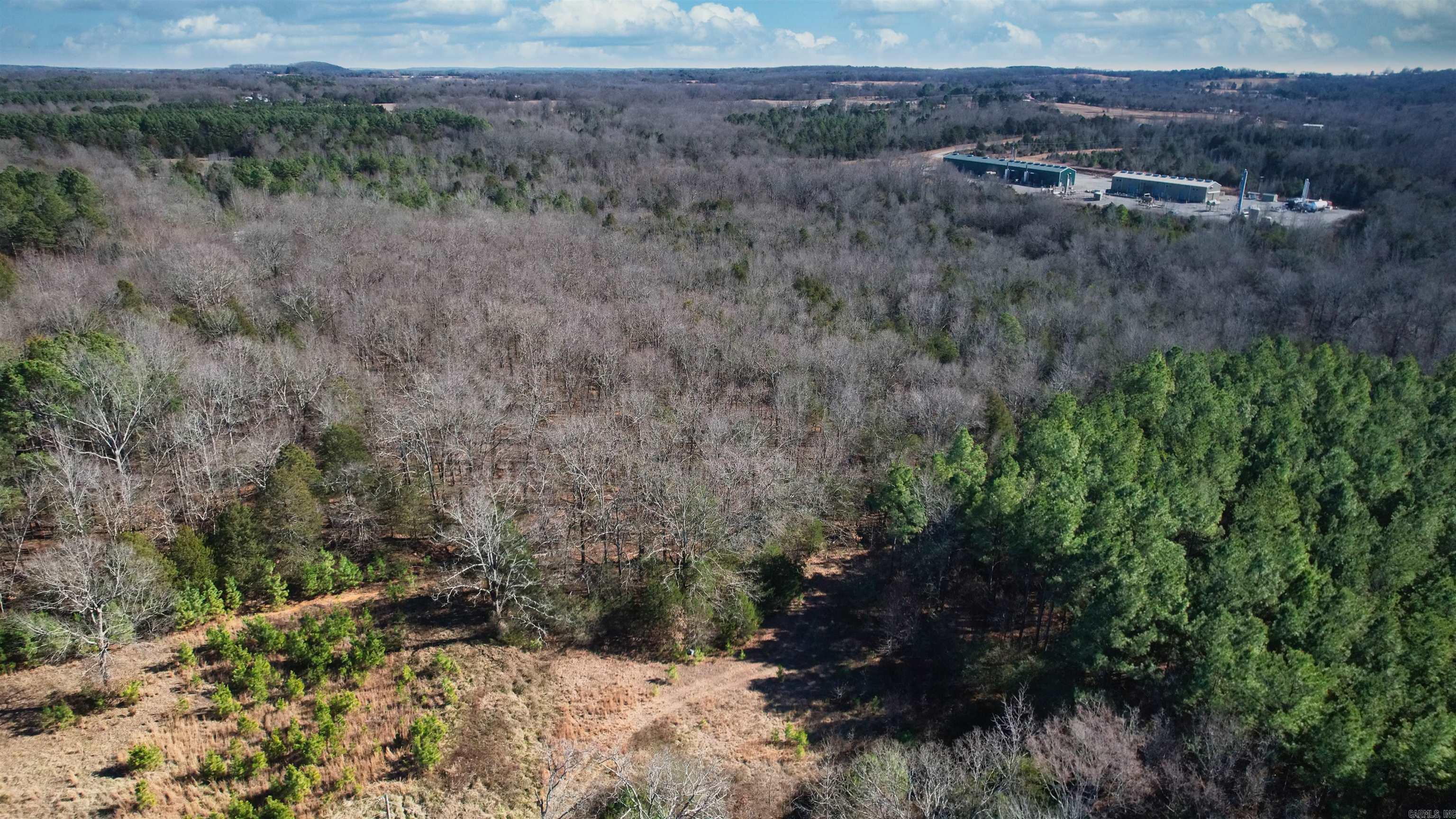 434 Pumpkin Center Lot 4 Quitman, AR