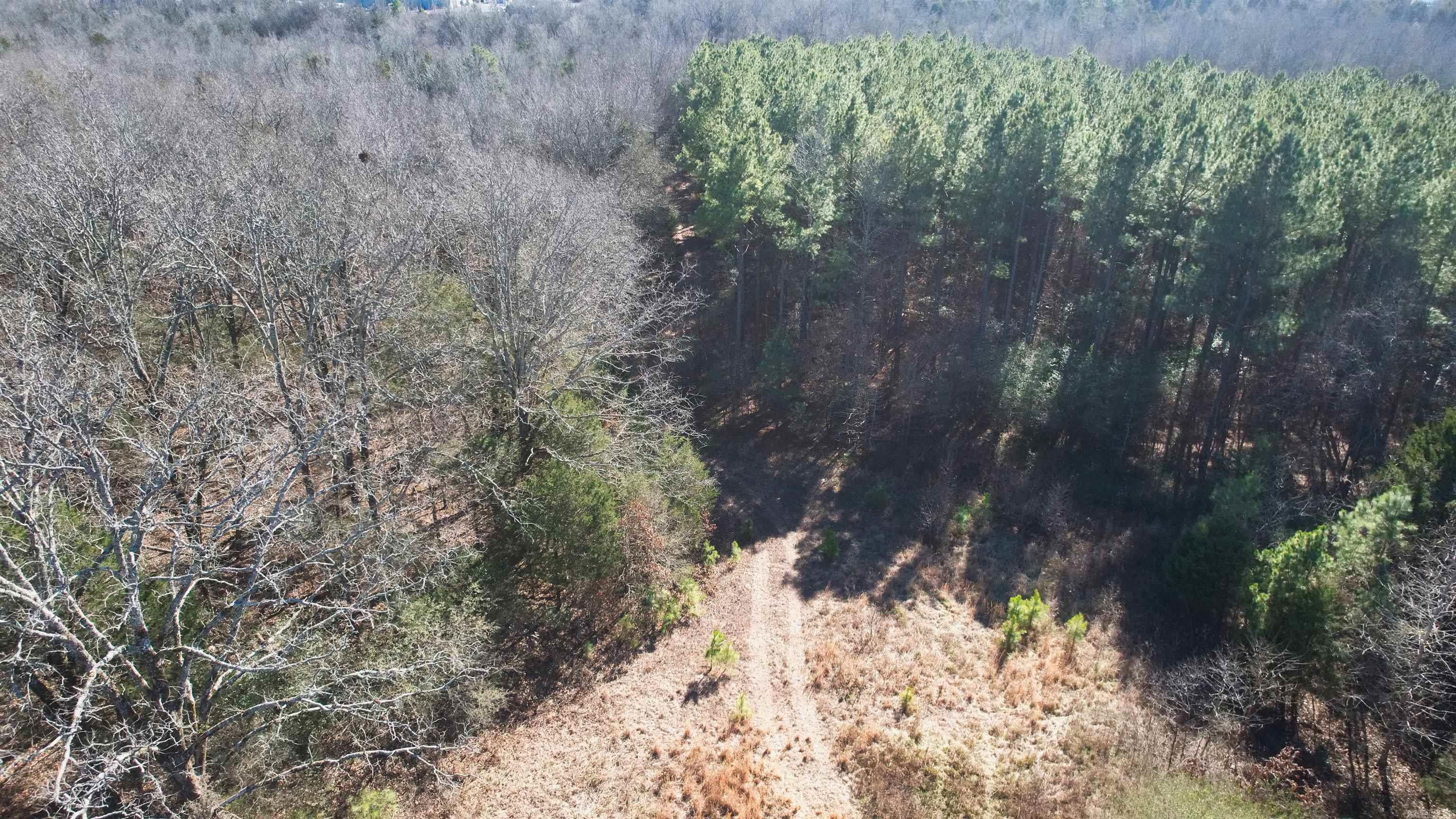 434 Pumpkin Center Lot 4 Quitman, AR