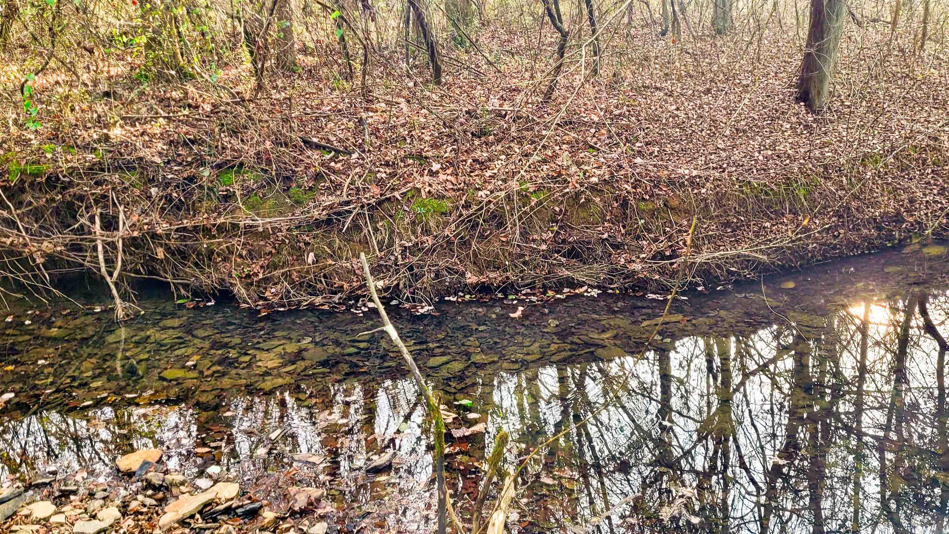 434 Pumpkin Center Lot 4 Quitman, AR