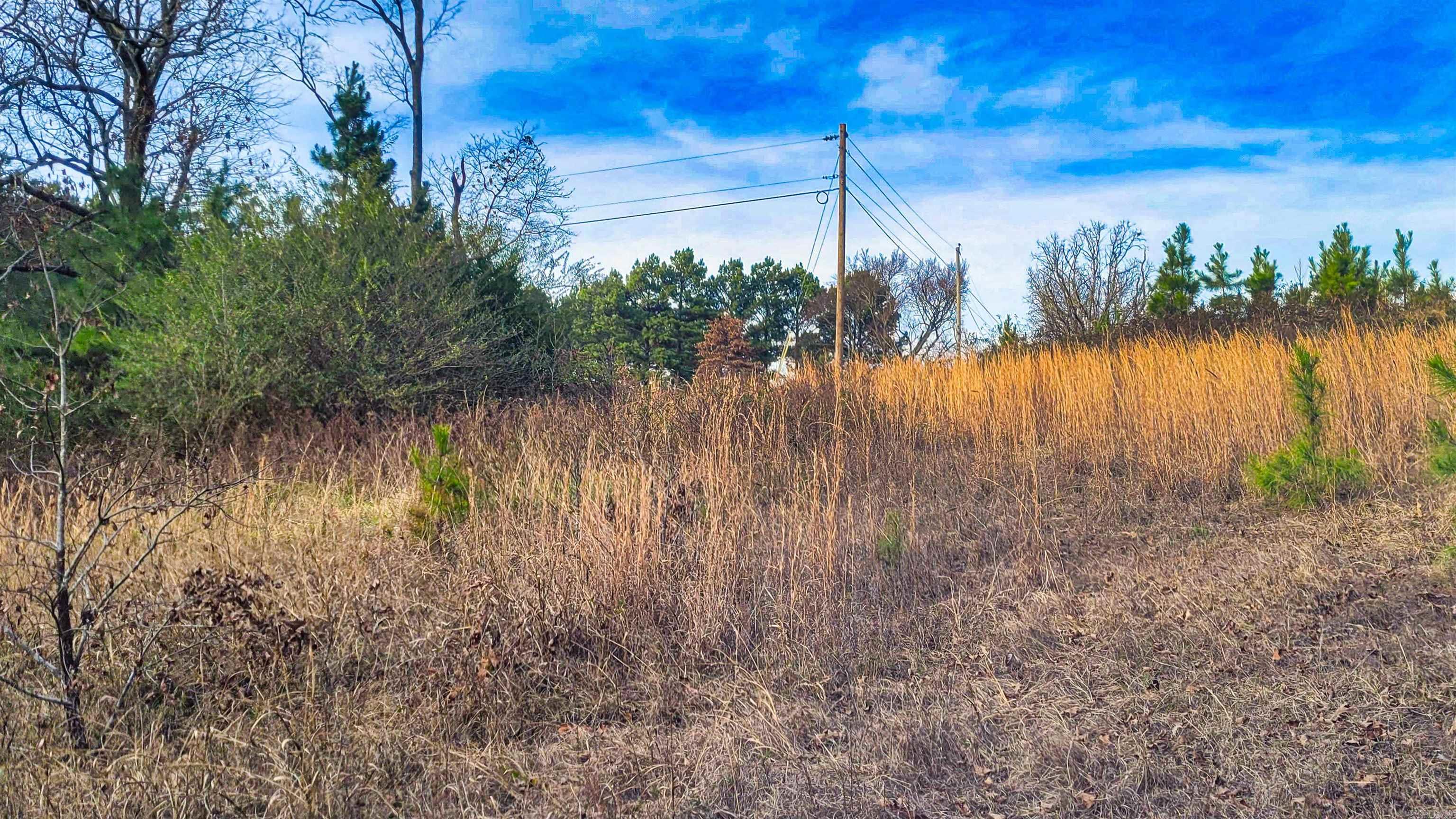 434 Pumpkin Center Lot 4 Quitman, AR
