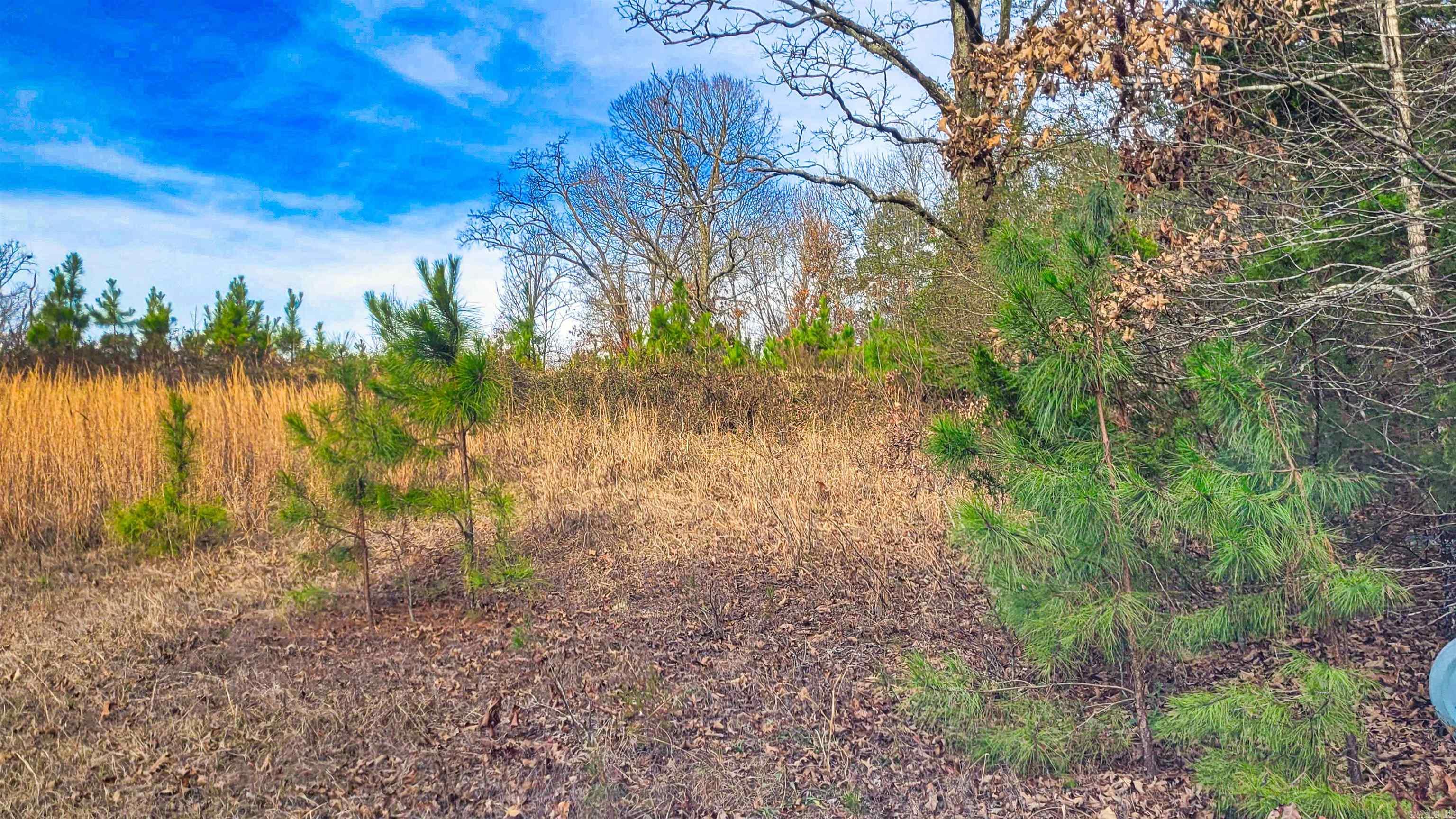 434 Pumpkin Center Lot 4 Quitman, AR