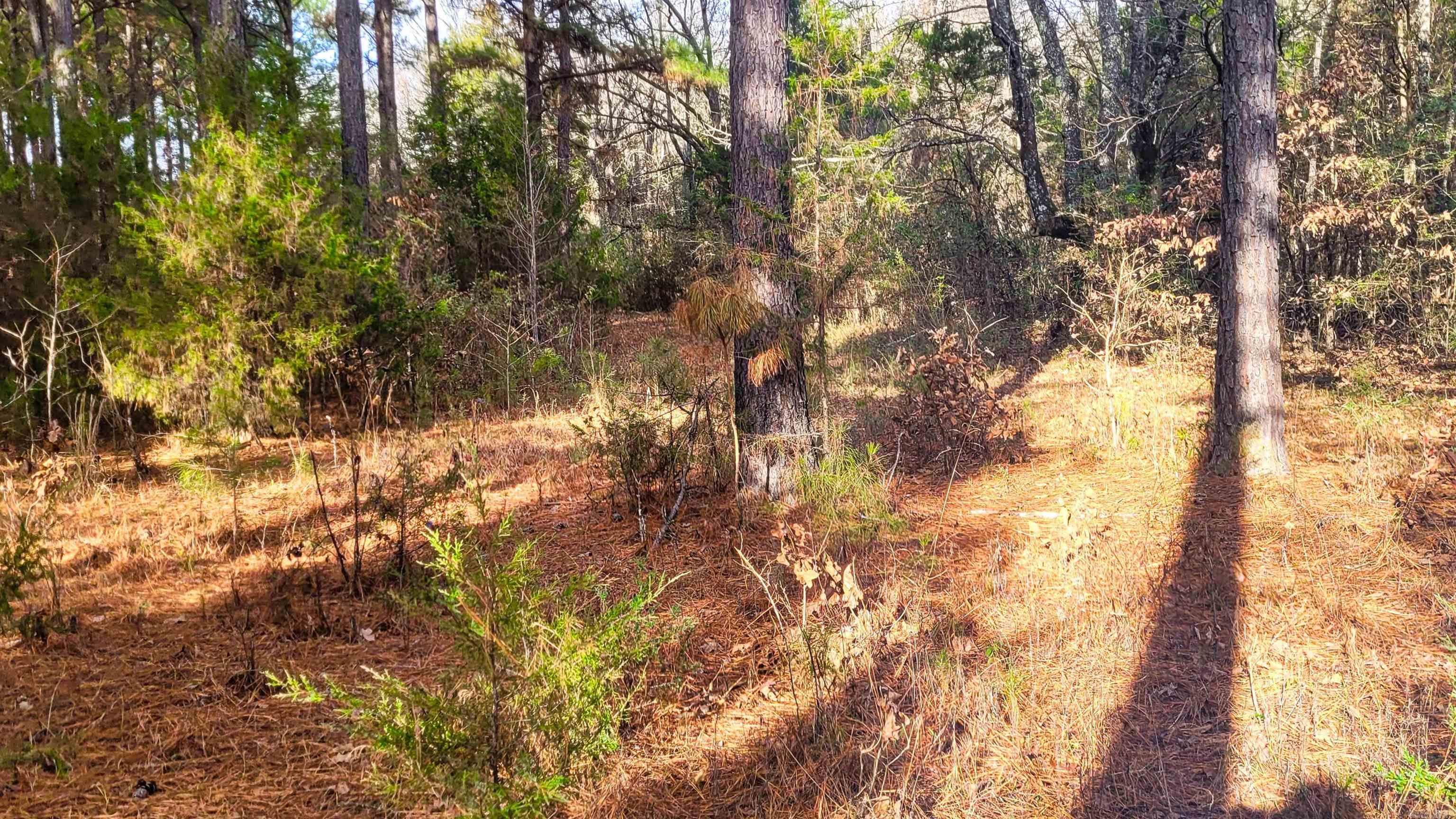 434 Pumpkin Center Lot 4 Quitman, AR